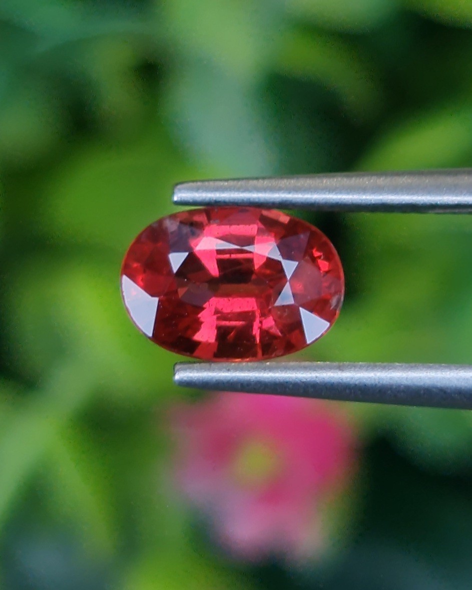 พลอย ทับทิม ซองเจีย Songea Ruby Sapphire 1.05 กะรัต (Cts.) พลอยแท้ อัญมณีมงคลประจําวันเกิด เครื่องประดับพลอย