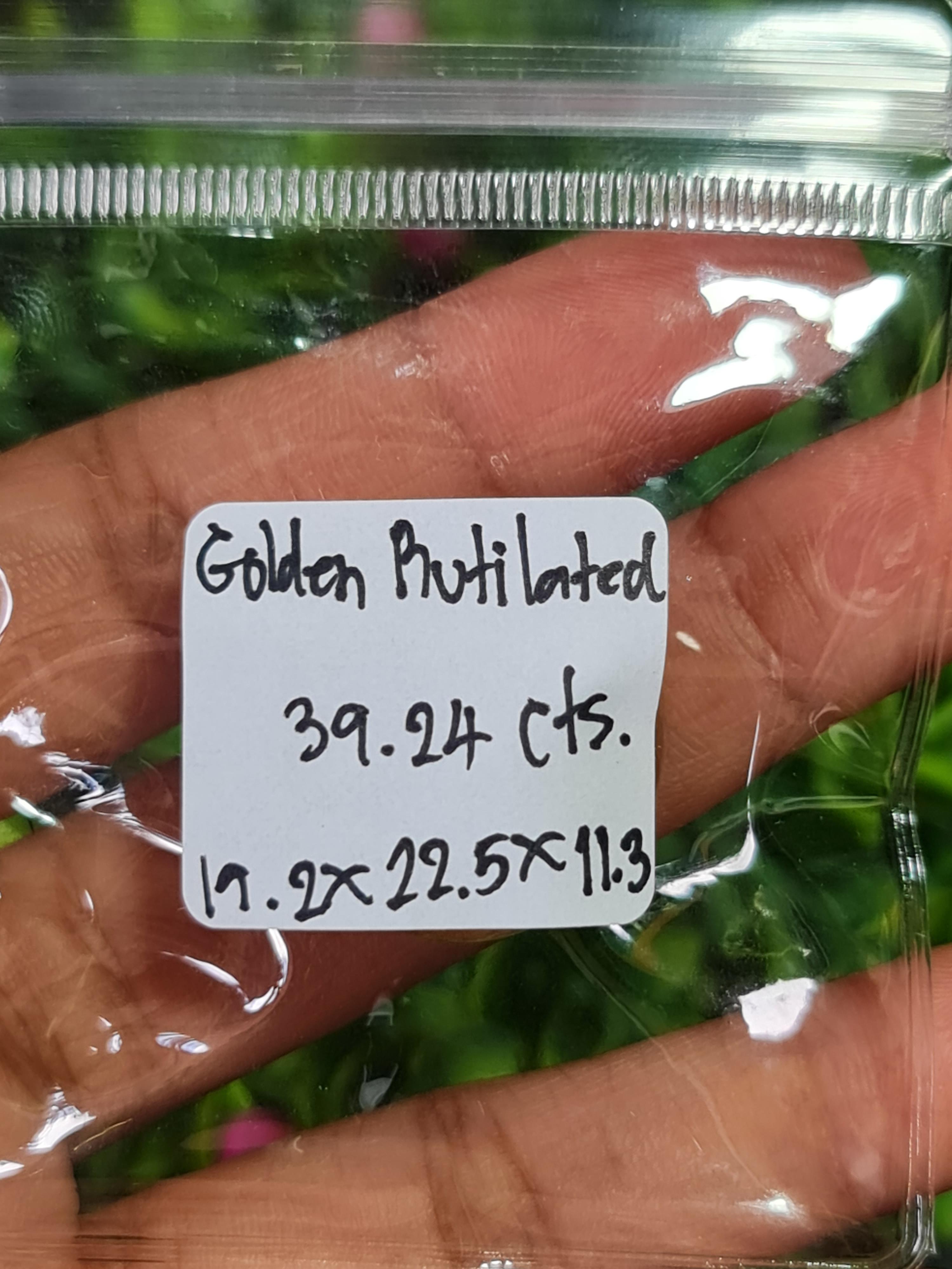 ไหมทอง ควอตซ์ Golden Rutilated Quartz 39.24 กะรัต Cts.พลอยแท้ อัญมณีมงคลประจําวันเกิด เครื่องประดับพลอย