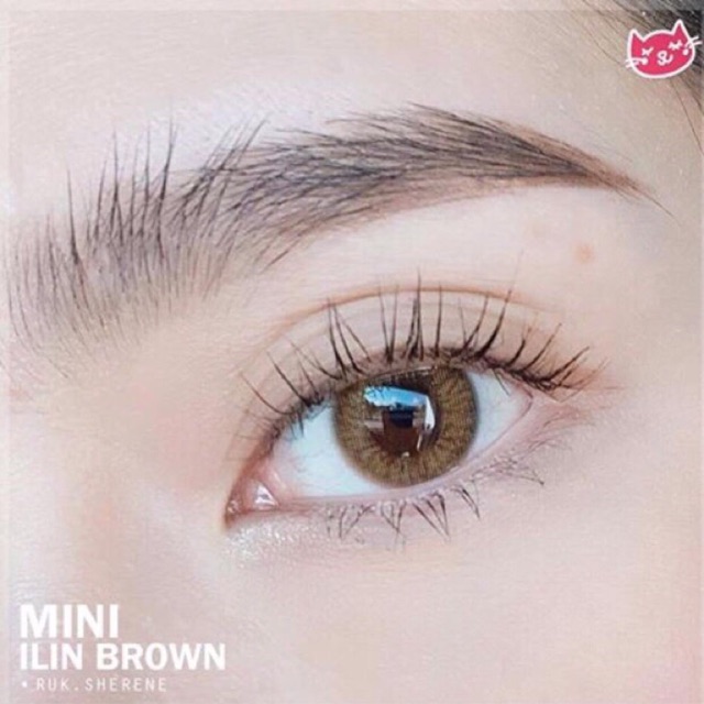 Kitty kawaii สีน้ำตาล