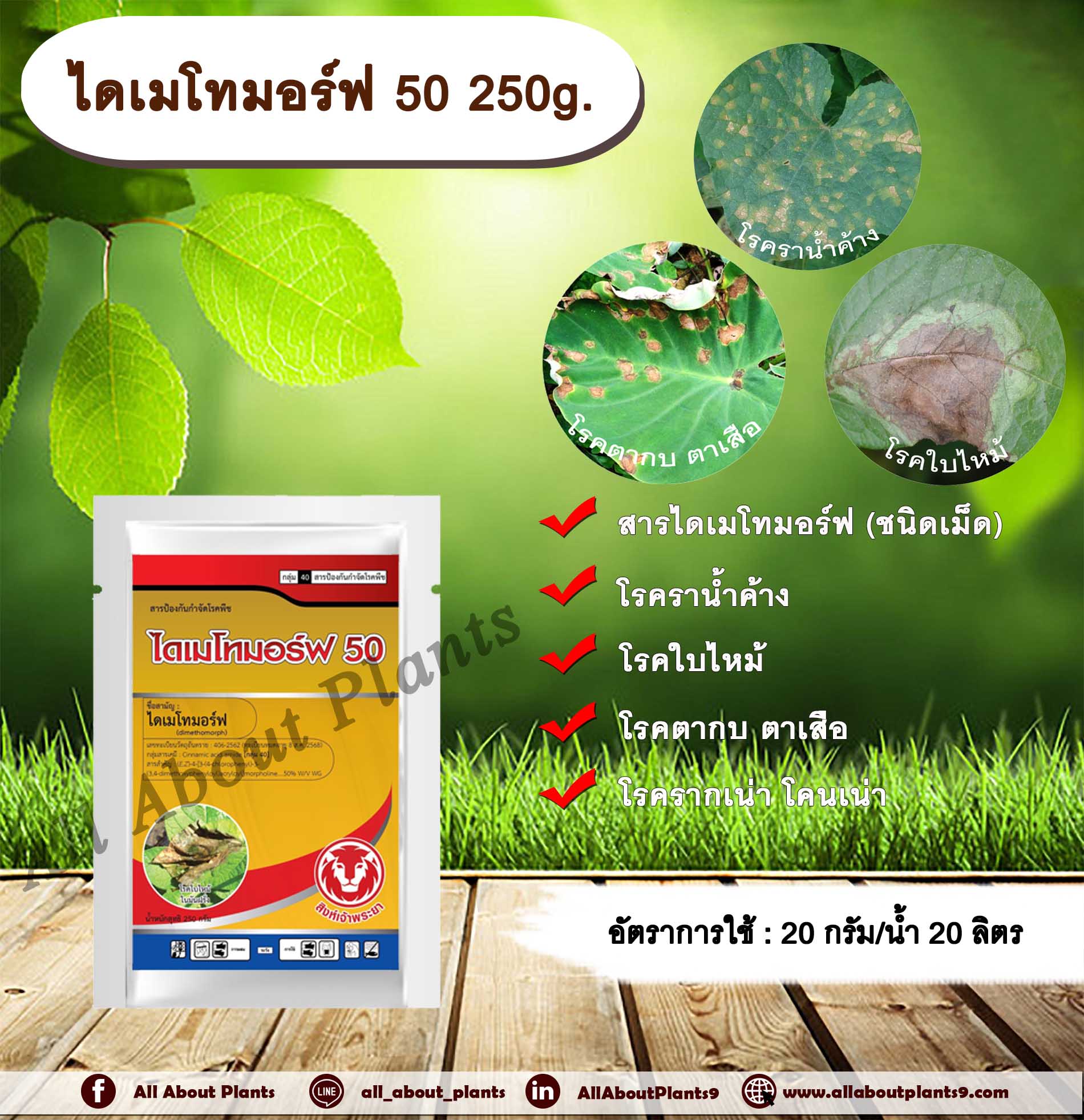 ไดเมโทมอร์ฟ 50 250g. ไดเมโทมอร์ฟ สารกำจัดกำจัดเชื้อรา สารกำจัดโรคพืช โรคราน้ำค้าง โรคใบไหม้ โรครากเน่าโคนเน่า โรคตากบตาเสือ ชิ้น