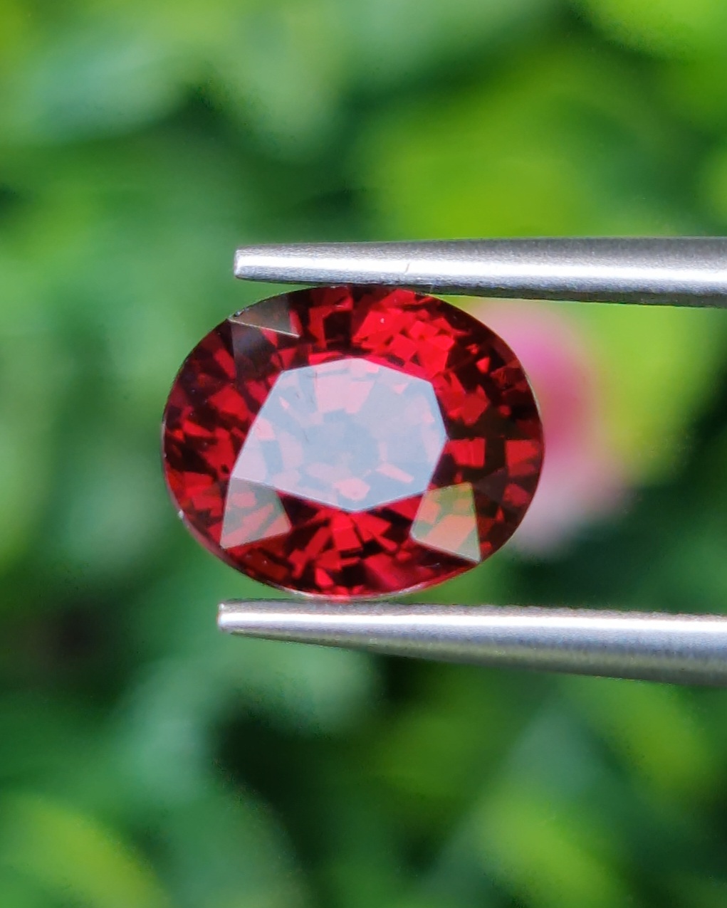 พลอย โรโดไลต์ กาเน็ท Rhodolite Garnet 3.00 กะรัต Cts.พลอยแท้ อัญมณีมงคลประจําวันเกิด เครื่องประดับพลอย