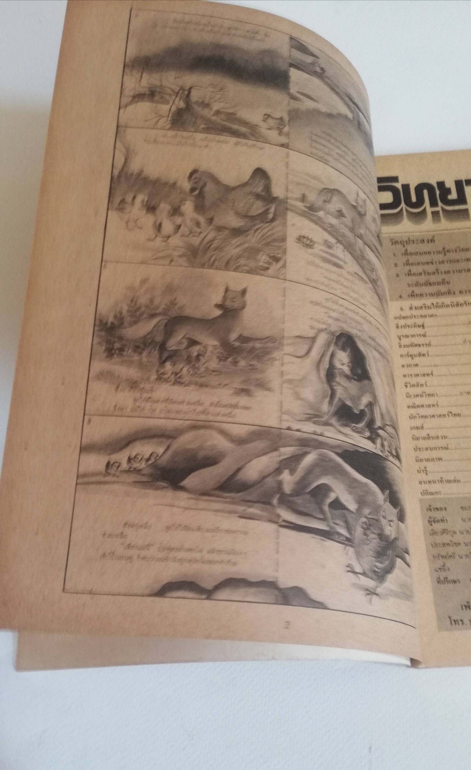 มีหลายภาพ, นิตยสารเก่า วิทยาศาสตร์มหัศจรรย์ ฉบับที่5, ภาพการ์ตูนในเล่ม : ศึกอวกาศ, ลูกไก่แสนกล เรื่องโดย รำพูล แก้วงาม ภาพโดย สมชาย เวชวิทย์, เพียงพอน โดย สมชาย เวชวิทย์