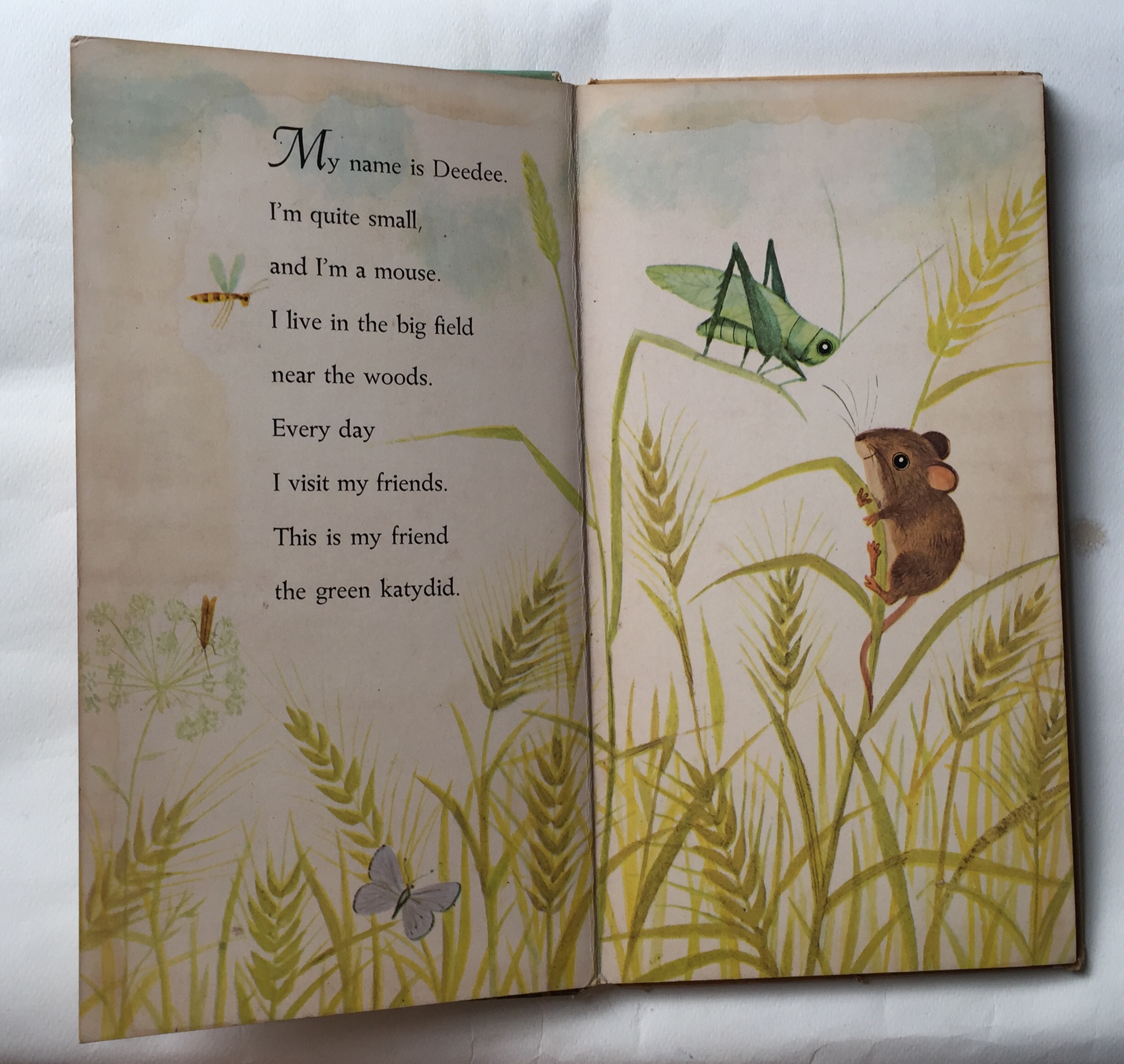 หนังสือนิทานเก่าภาพสวยปกแข็ง ปี 1964 ฉบับภาษาอังกฤษ "I am a Mouse", a golden sturdy happy book **มีตำหนิตามภาพ