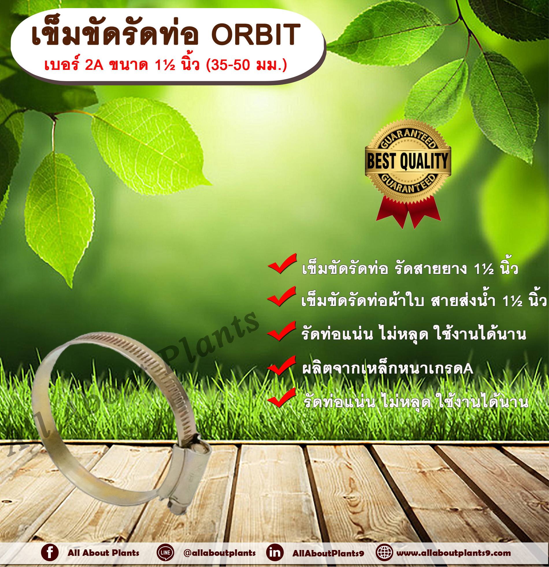 เข็มขัดรัดท่อ ORBIT เบอร์ 2A ขนาด 1½ นิ้ว (35-50 มม.) เข็มขัดรัดสายยาง รัดท่อผ้าใบ รัดสายส่งน้ำ เหล็กรัดท่อ เหล็กรัดสายยาง รัดท่อ รัดสายยาง allaboutplants ชิ้น