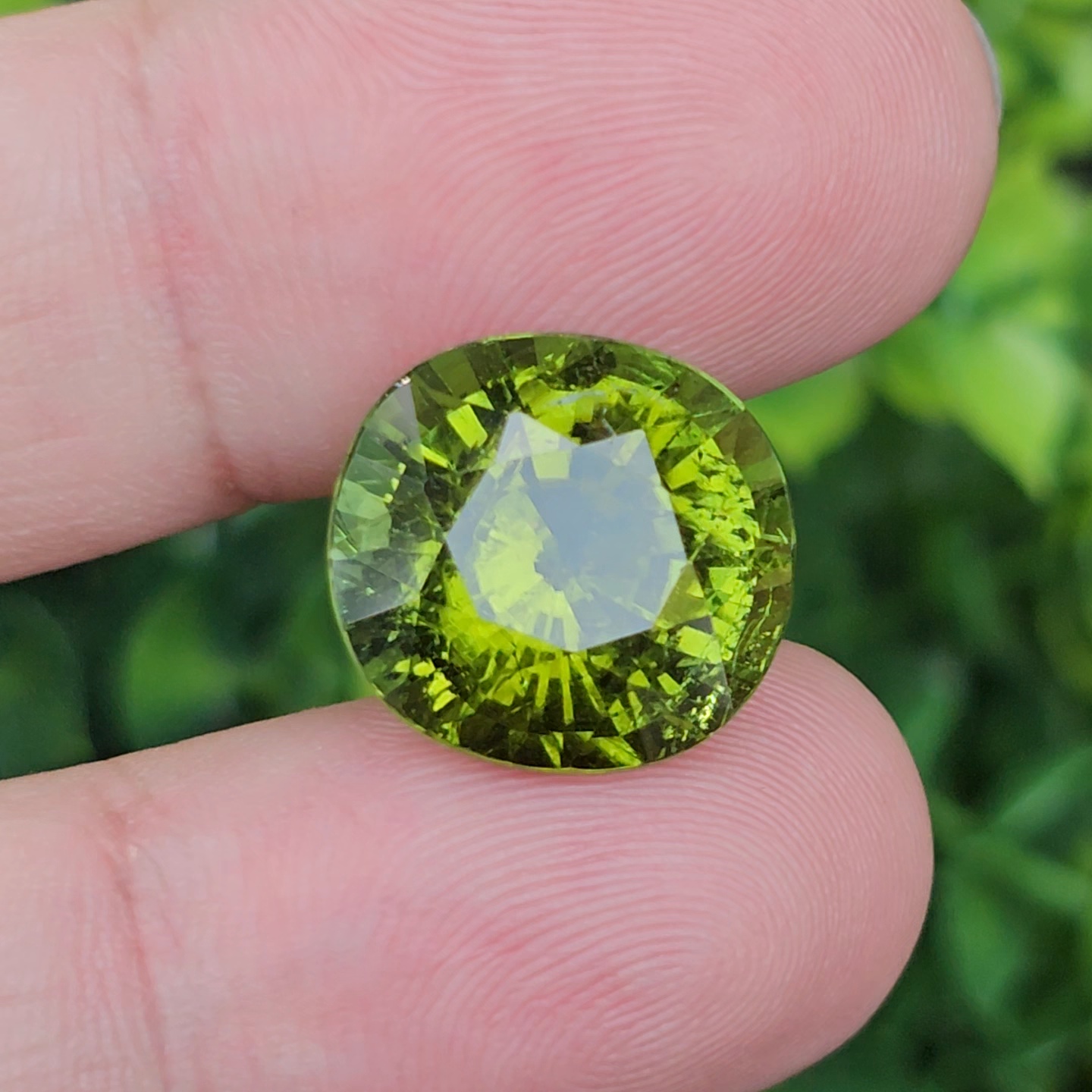 พลอย ทัวร์มาลีน Tourmaline 13.77 กะรัต (Cts.) พลอยแท้อัญมณีมงคล ประจําวันเกิด เครื่องประดับพลอย