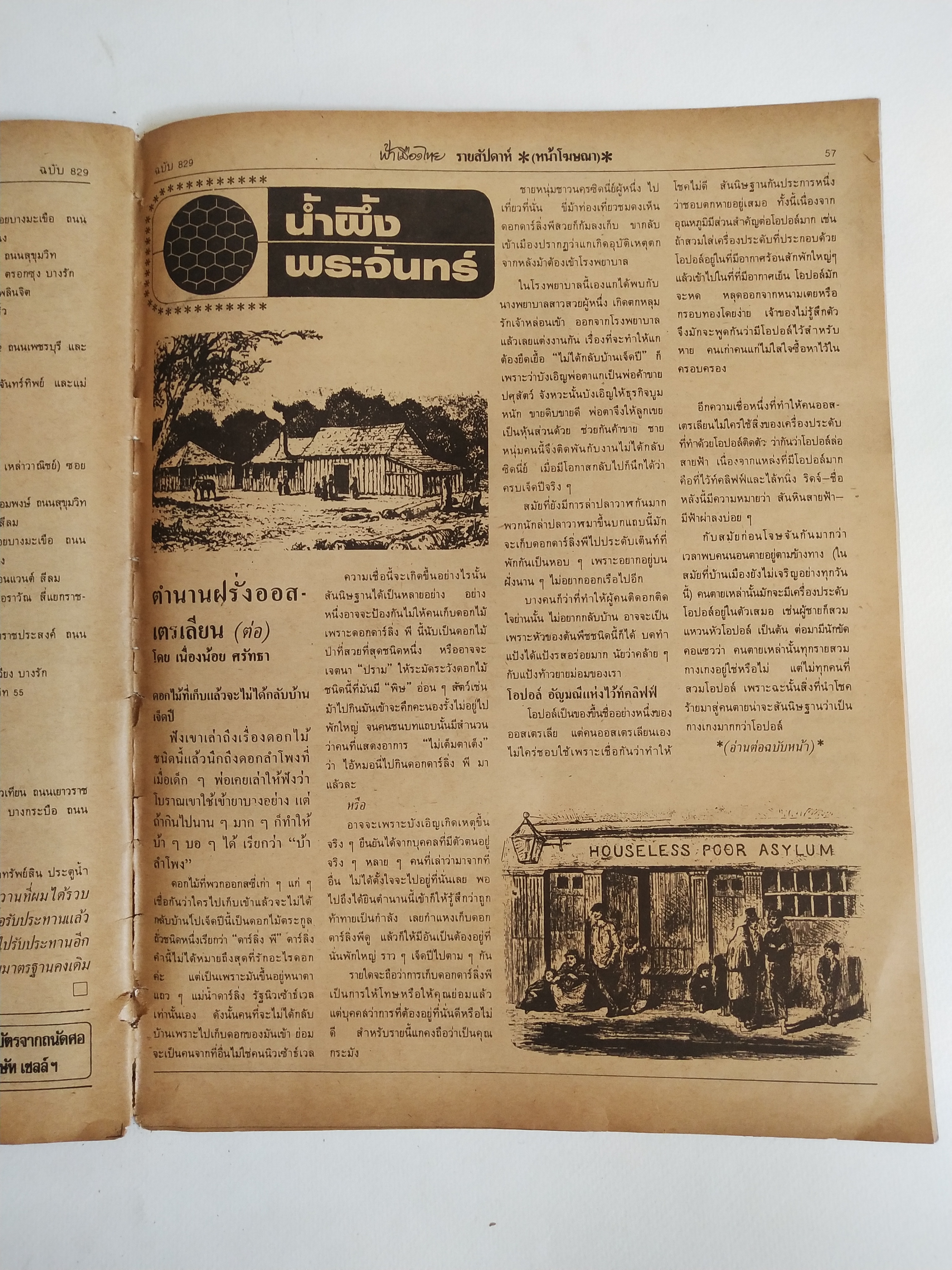 มีหลายภาพ,นิตยสารเก่า ฟ้าเมืองไทย ฉบับที่829 ,7 กพ.2528 **หนังสือเก่ามีตำหนิ โปรดดูทุกภาพ