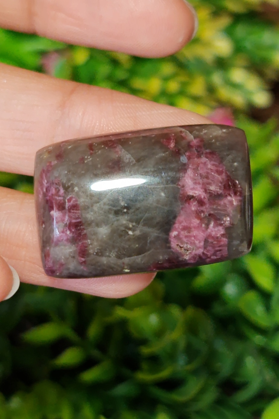 พลอย ทัวร์มารีน (Tourmaline) 88.30 กะรัต (Cts.) อัญมณีมงคลประจําวันเกิด เครื่องประดับพลอย