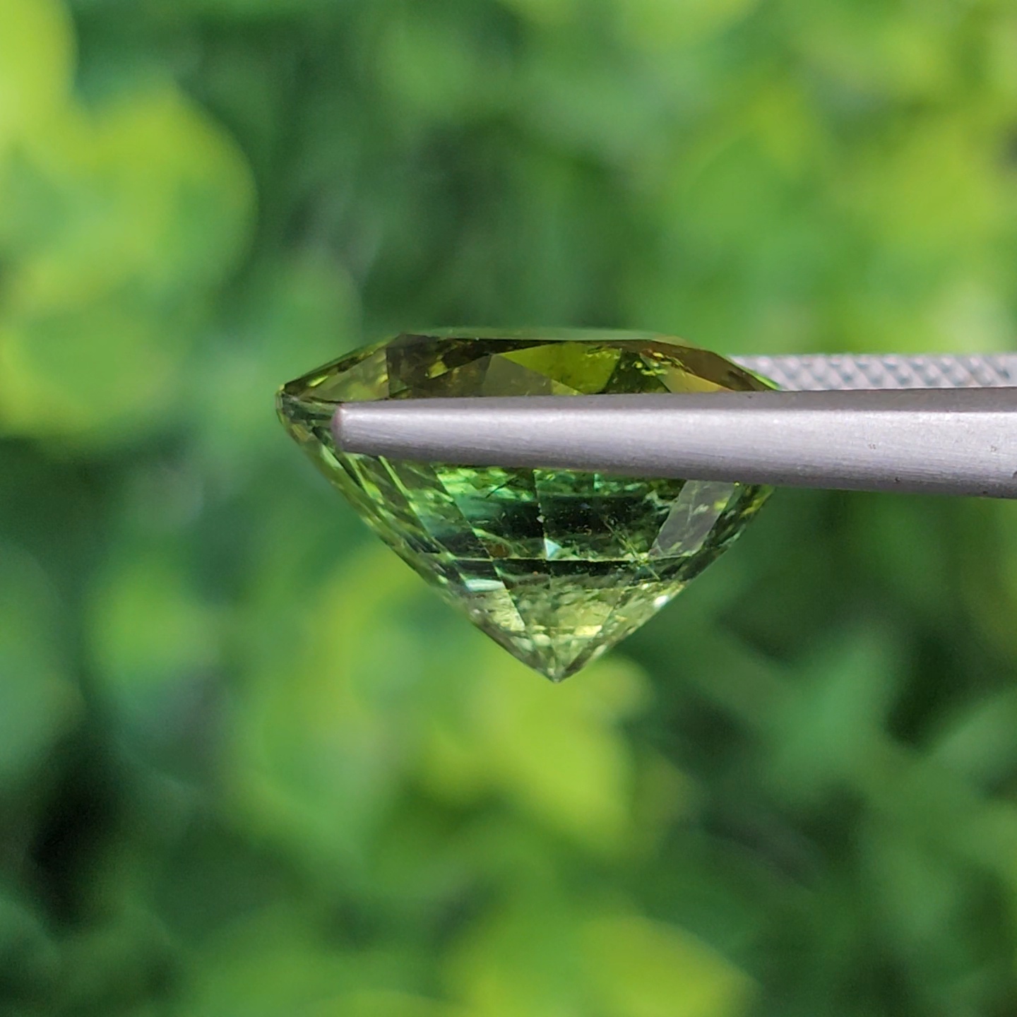 พลอย ทัวร์มาลีน Tourmaline 13.77 กะรัต (Cts.) พลอยแท้อัญมณีมงคล ประจําวันเกิด เครื่องประดับพลอย