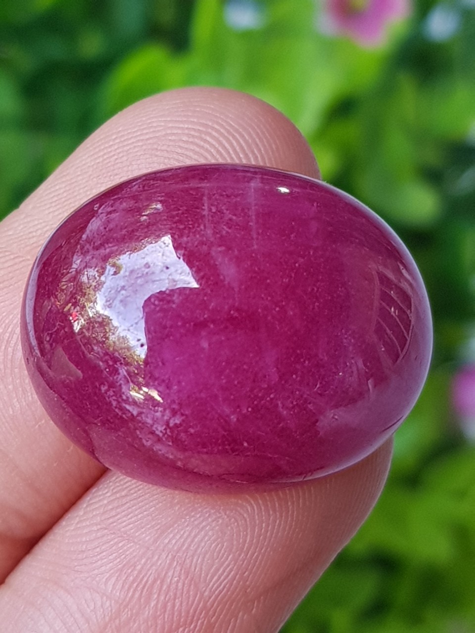 พลอย ทับทิม (Ruby Sapphire) 41.35 กะรัต (Cts.) พลอยแท้ อัญมณีมงคลประจําวันเกิด เครื่องประดับพลอย