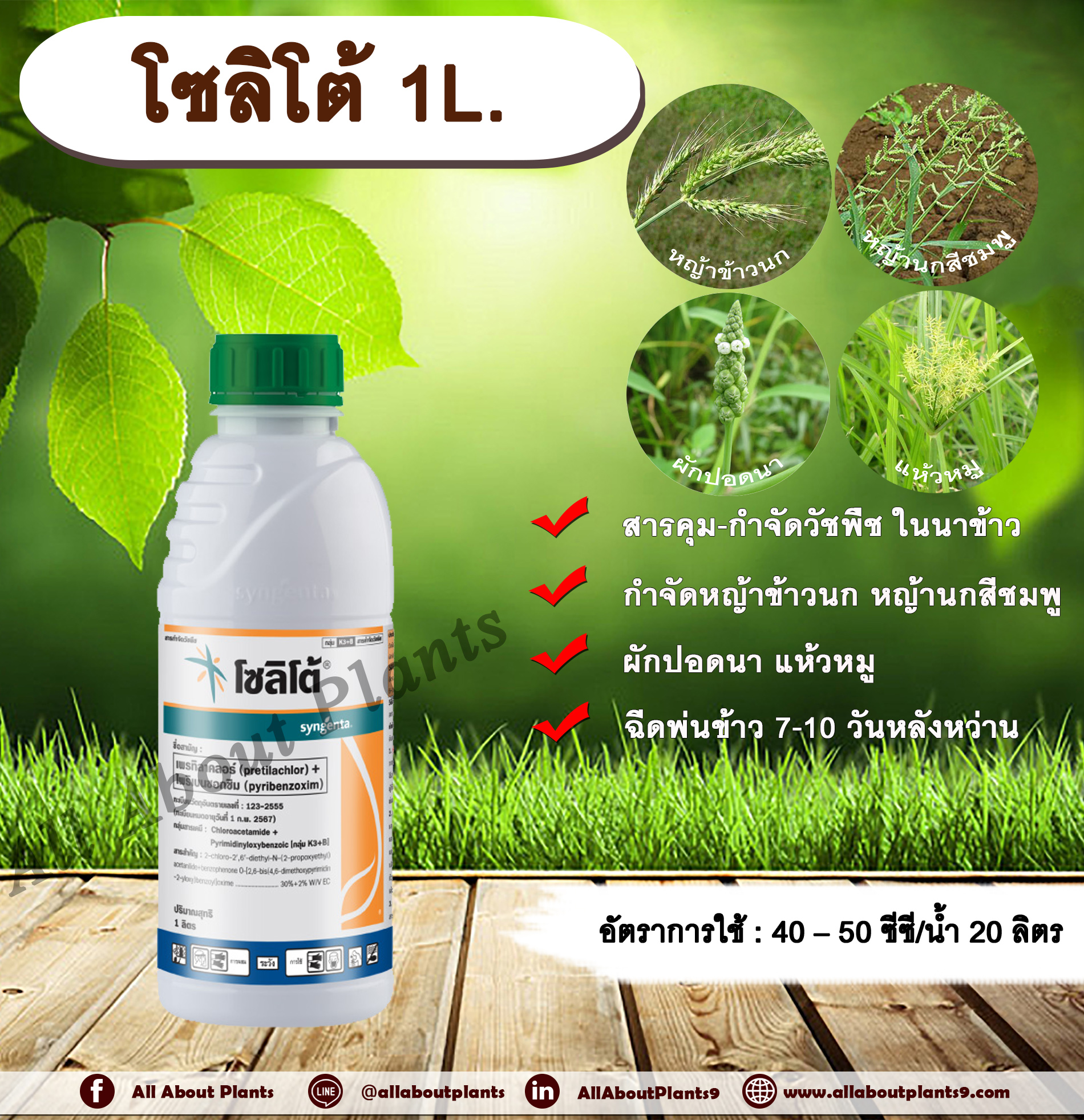 โซลิโต้ 1L. เพรทิลาคลอร์ +ไพริเบนซอกซิม สารคุมและกำจัดวัชพืชในนาข้าว คุมหญ้า กำจัดหญ้า ใบแคบ ใบกว้างและกก ขวด