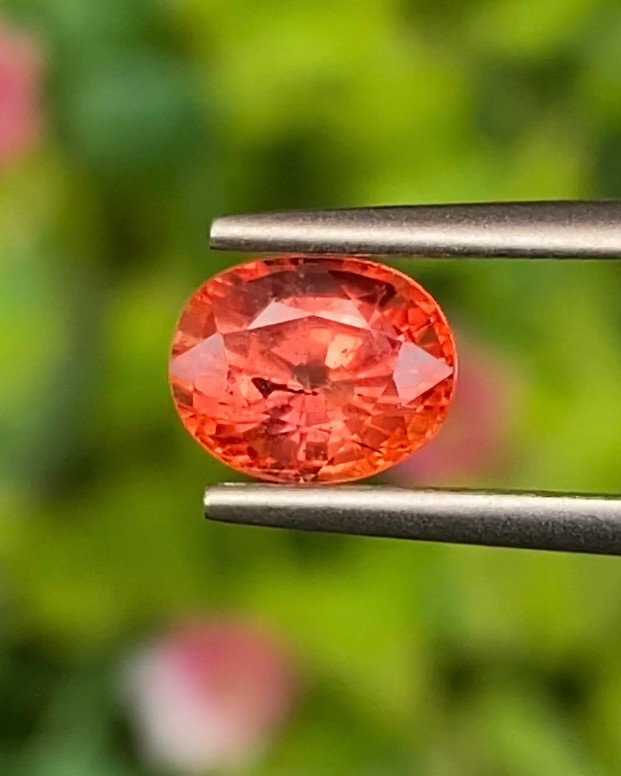 พลอย ออเรนจ์ แซฟไฟร์ Orange Sapphire 1.29 กะรัต (Cts.) พลอยแท้ อัญมณีมงคลประจําวันเกิด เครื่องประดับพลอย