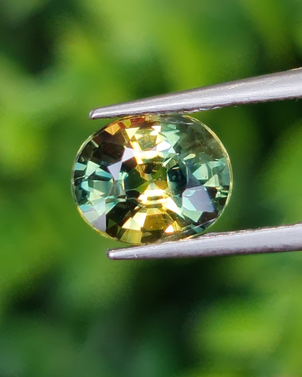 พลอย แซฟไฟร์ 2 สี Bi Color Sapphire 1.51 กะรัต (Cts.) พลอยแท้ อัญมณีมงคลประจําวันเกิด เครื่องประดับพลอย