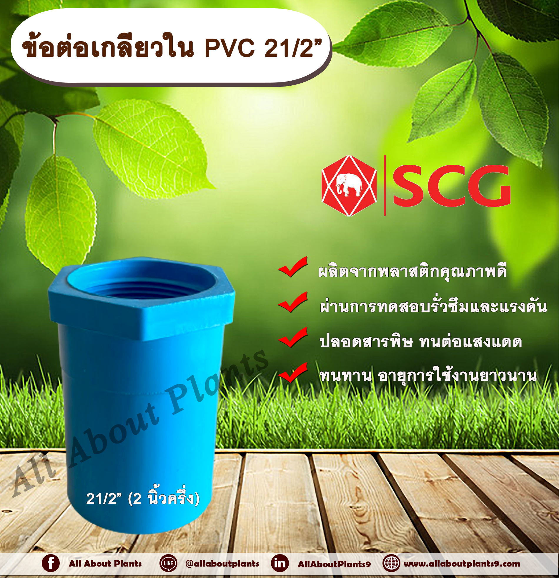 ข้อต่อเกลียวใน PVC ตราช้าง 21/2” ข้อต่อท่อPVC ข้อต่อเกลียวใน ต่อตรงเกลียวใน ต่อตรงเกลียวใน 2 นิ้วครึ่ง ข้อต่อพีวีซี ข้อต่อPVC ต่อตรงพีวีซี ต่อตรงPVC ชิ้น