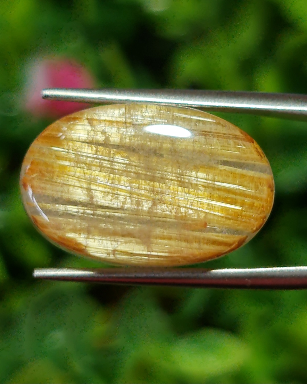 ตาแมว ไหมทอง ควอตซ์ Cat eye Golden Rutilated Quartz 17.0 กะรัต Cts.พลอยแท้ อัญมณีมงคลประจําวันเกิด เครื่องประดับพลอย