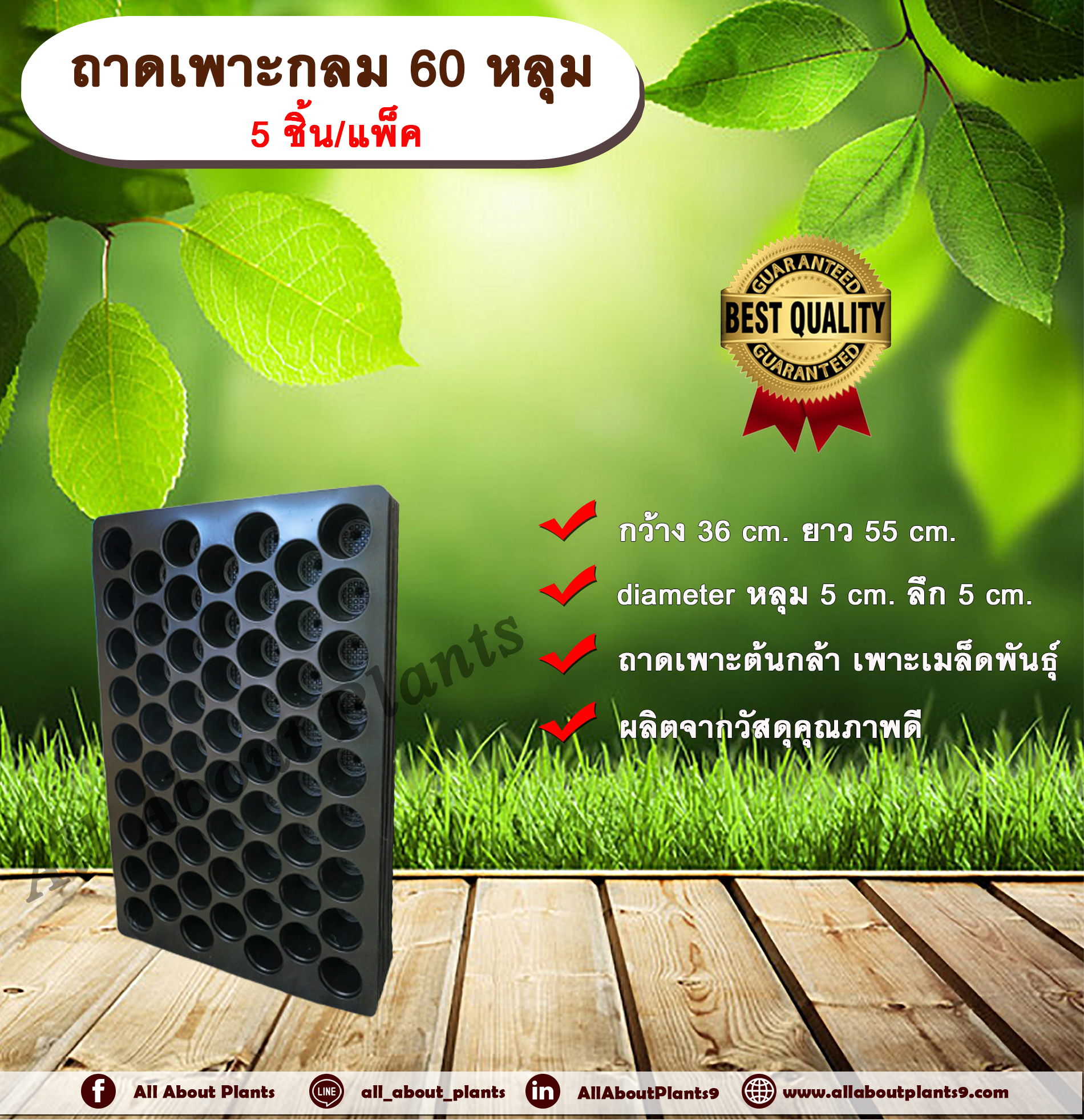 ถาดเพาะกลม 60 หลุม (5ชิ้น/แพ็ค) ถาดเพาะต้นกล้า ถาดเพาะเมล็ดพันธุ์ ขนาด 60 หลุม แบบกลม allaboutplants ชิ้น