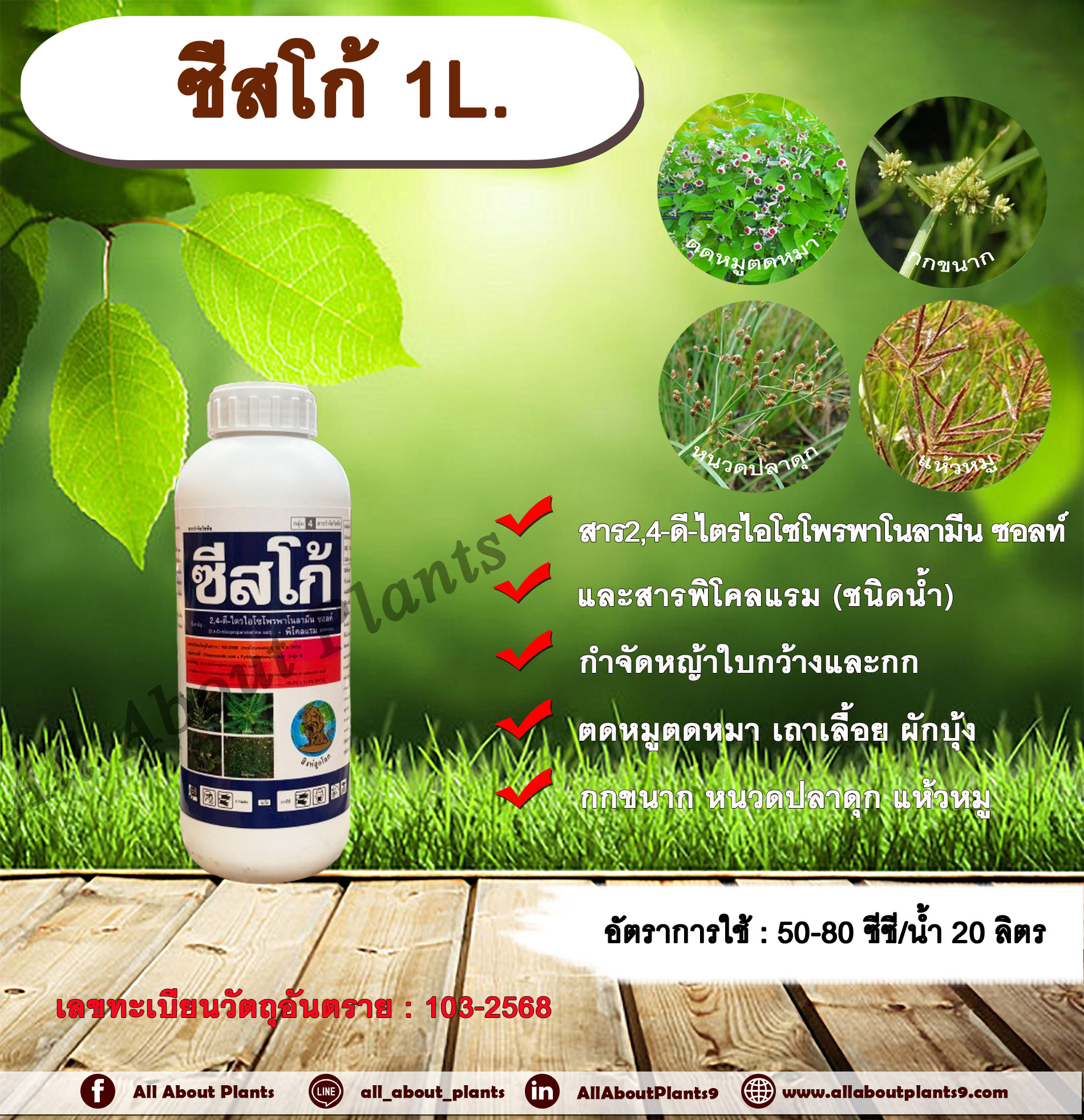 ซีสโก้ 1L. 24ดีไตรไอโซโพรพาโนลามีน ซอลต์+ พิโคลแรม สารกำจัดวัชพืช กำจัดหญ้า ใบกว้าง กก ตดหมูตดหมา เถาเลื้อย ผักบุ้ง กกขนาก หนวดปลาดุก แห้วหมู แบบดูดซึม ในไร่อ้อย ปาล์มน้ำมัน ข้าว ขวด
