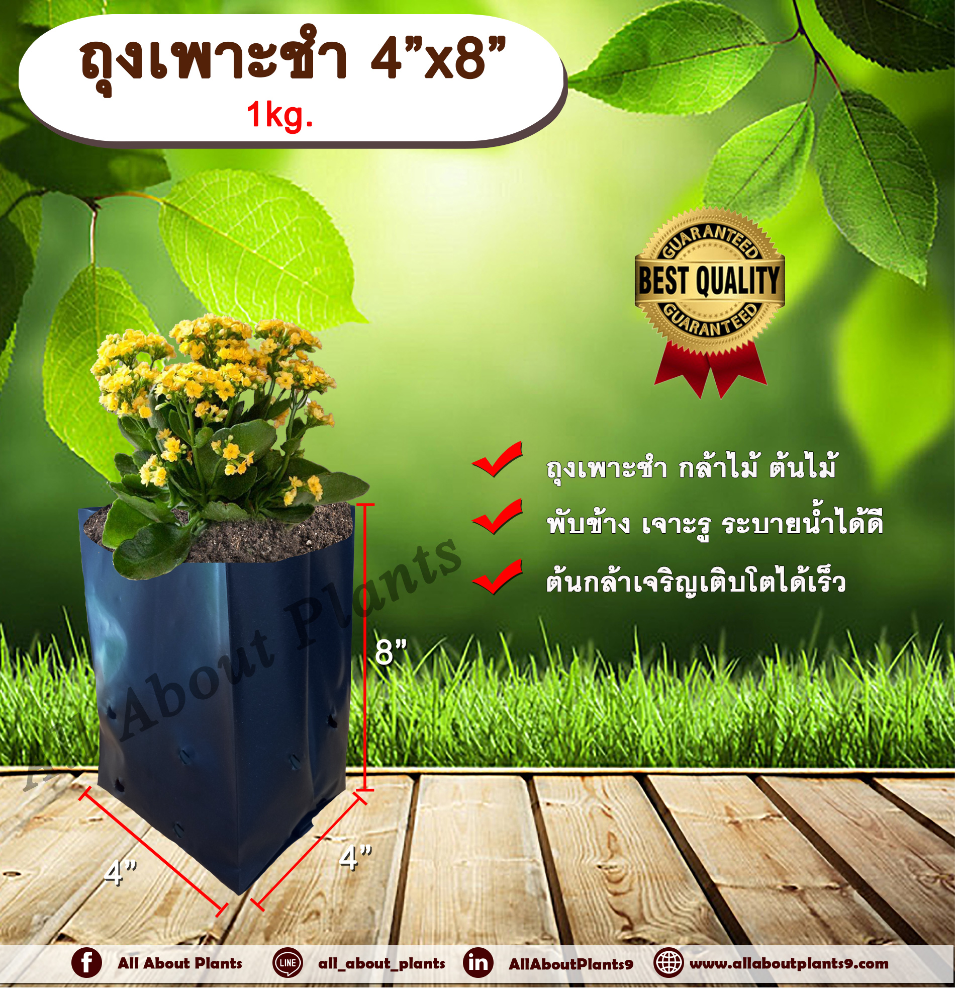 ถุงเพาะชำ 4*8 1 kg. ถุงเพาะชำสีดำ ถุงเพาะชำกล้าไม้ ต้นไม้ ถุงดำ allaboutplants ชิ้น