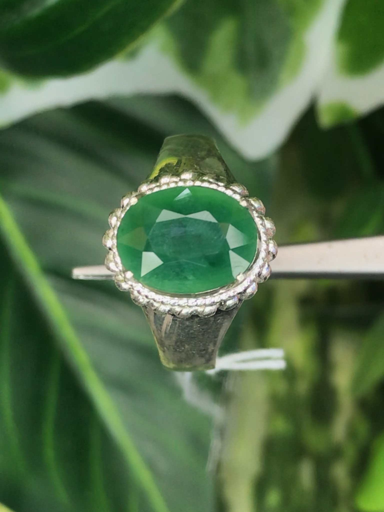 หยก พม่า แท้ Jade แหวนหยก 翡翠戒指 (Jadeite ring) ดิบ (Size) 55 ไม่ผ่านการปรับปรุง (Type A) พม่า (Myanmar)