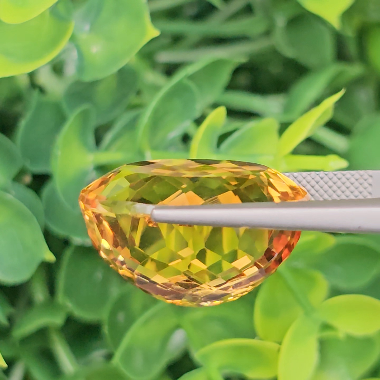 พลอย ซิทริน Citrine 32.66 กะรัต (Cts.) พลอยแท้ อัญมณีมงคลประจําวันเกิด เครื่องประดับพลอย