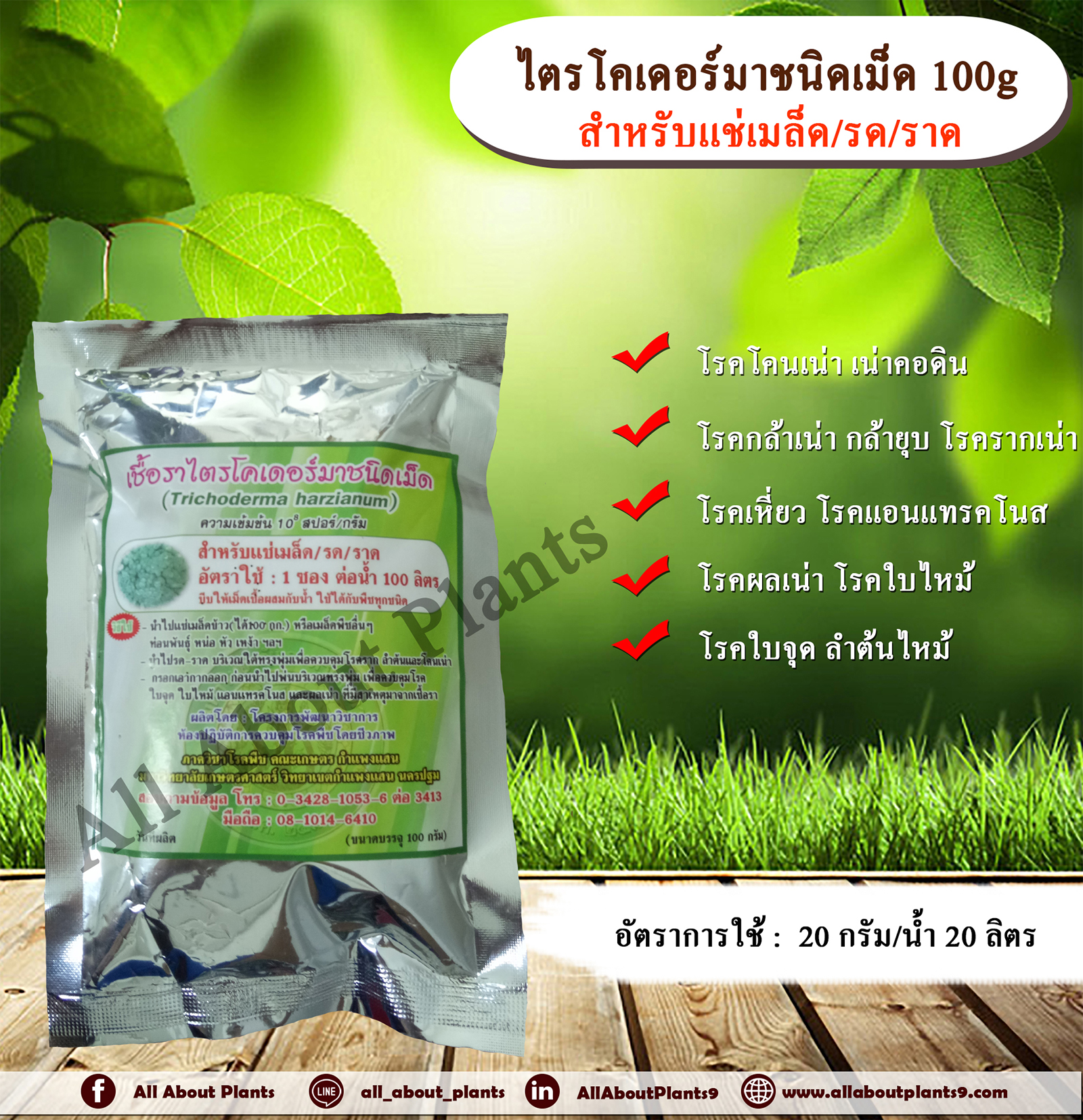 เชื้อราไตรโคเดอร์ม่าชนิดเม็ด 100g. สำหรับแช่เมล็ด รดและราด สารกำจัดเชื้อรา โรครากเน่าโคนเน่า สารชีวภัณฑ์กำจัดโรคพืช allaboutplants ชิ้น