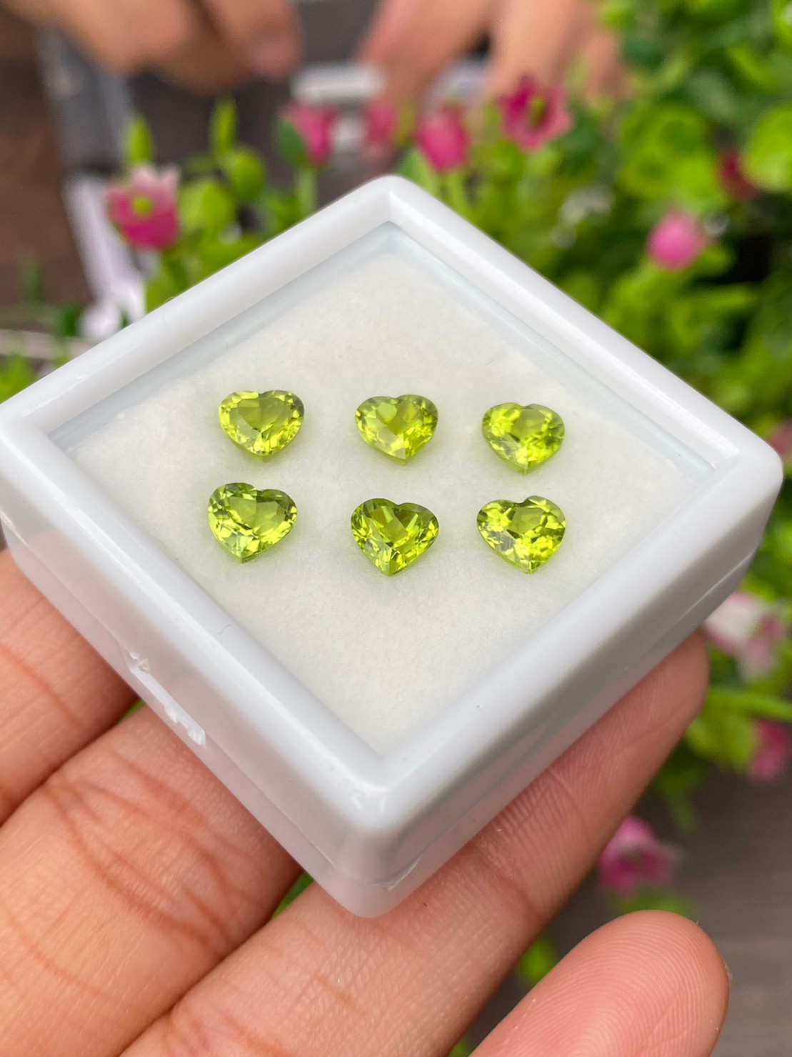 พลอย เพอริดอต Peridot 5.50 กะรัต (Cts.) 6 เม็ด (pcs.) พลอยแท้ อัญมณีมงคลประจําวันเกิด เครื่องประดับพลอย
