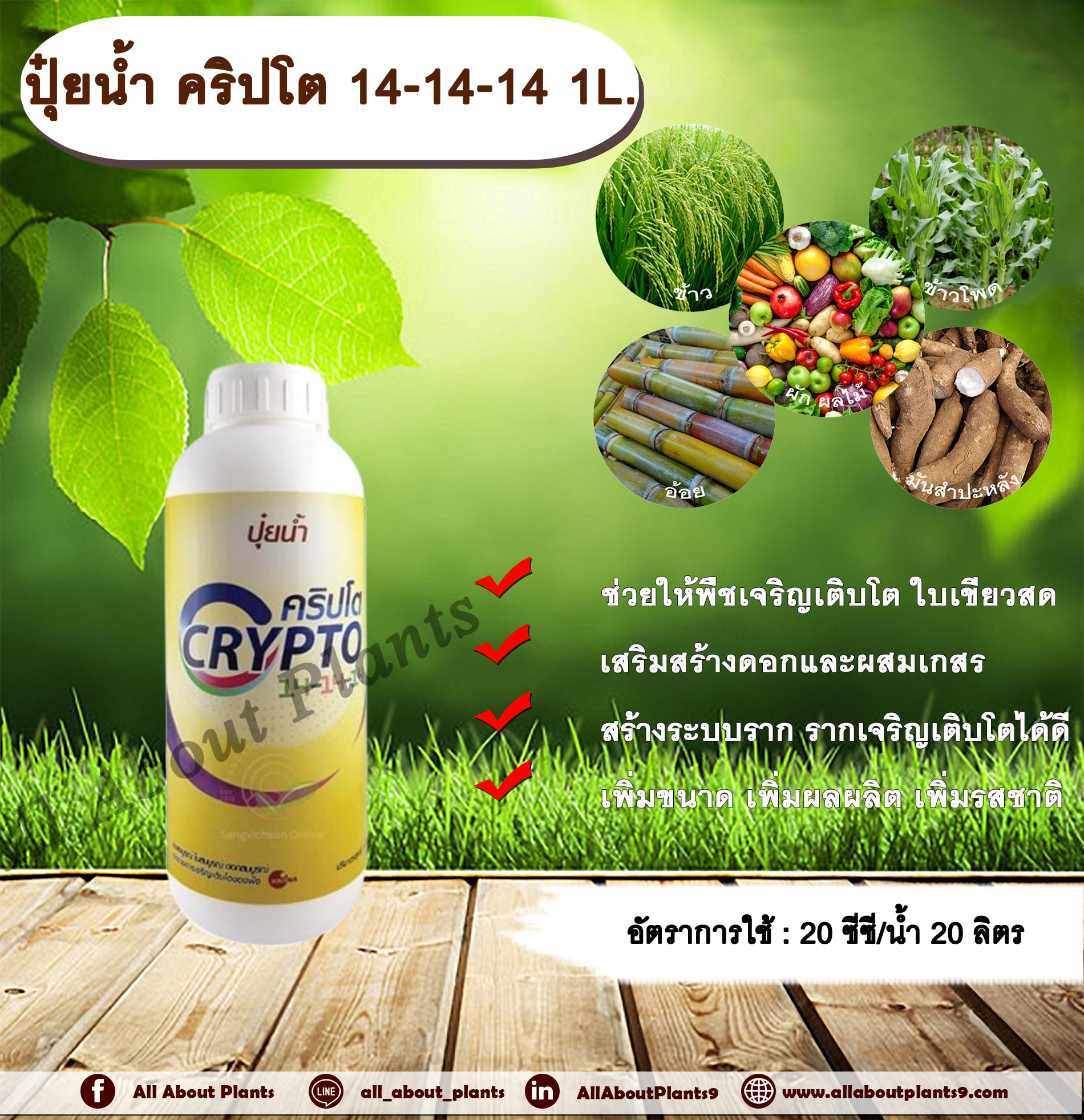 คริปโต 14-14-14 1L. ช่วยให้พืชเจริญเติบโต ใบสีเขียวสด เสริมสร้างดอก ผสมเกสร สร้างระบบราก รากเจริญเติบโต เพิ่มขนาด เพิ่มผลผลิต เพิ่มรสชาติ ทุกช่วงการเจริญเติบโตของพืช ปุ๋ยน้ำ ฮอร์โมนพืช ปุ๋ยNPK ปุ๋ยน้ำNPK allaboutplants ชิ้น