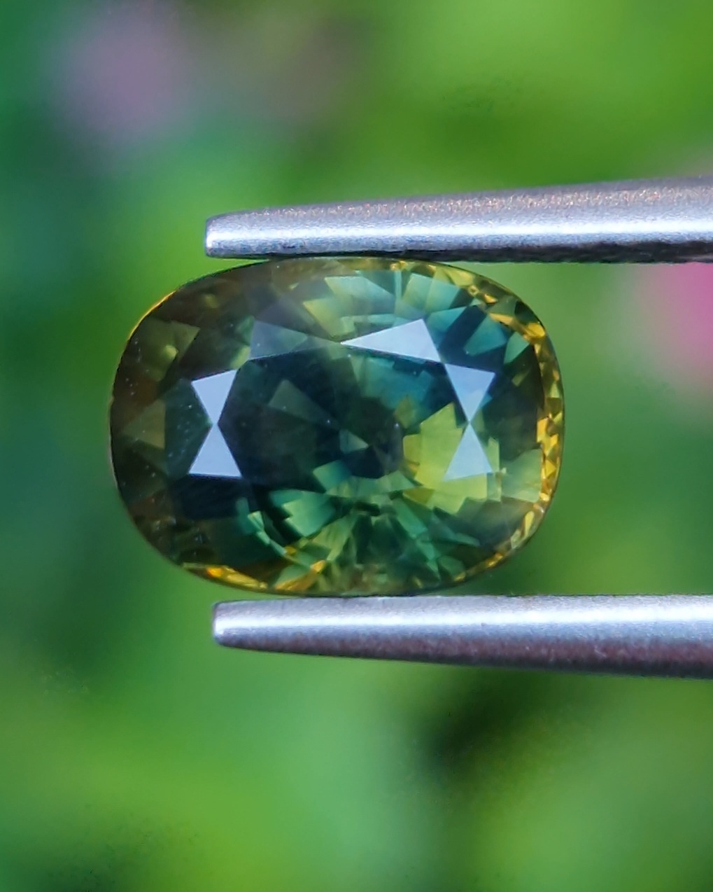 พลอย แซฟไฟร์ 2 สี Bi Color Sapphire 2.09 กะรัต (Cts.) พลอยแท้ อัญมณีมงคลประจําวันเกิด เครื่องประดับพลอย