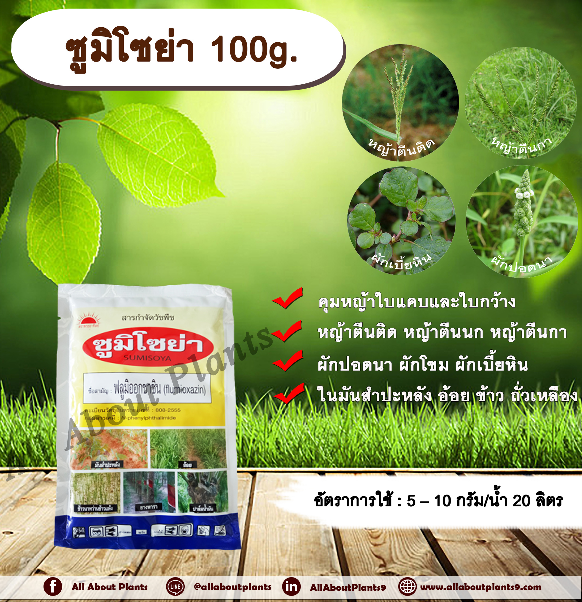 ซูมิโซย่า 100g. ฟลูมิออกซาซิน สารคุมและกำจัดหญ้าใบแคบ ใบกว้าง และกก คุมแห้ง ในมันสำปะหลัง อ้อย ข้าว ถั่วเหลือง allaboutplants ชิ้น