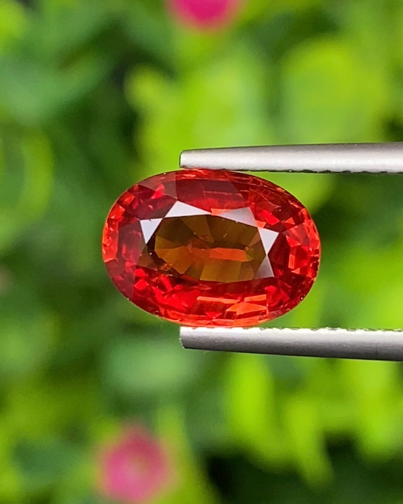 พลอย ทับทิม ซองเจีย Ruby Sapphire 2.66 กะรัต (Cts) พลอยแท้ อัญมณีมงคลประจําวันเกิด เครื่องประดับพลอย