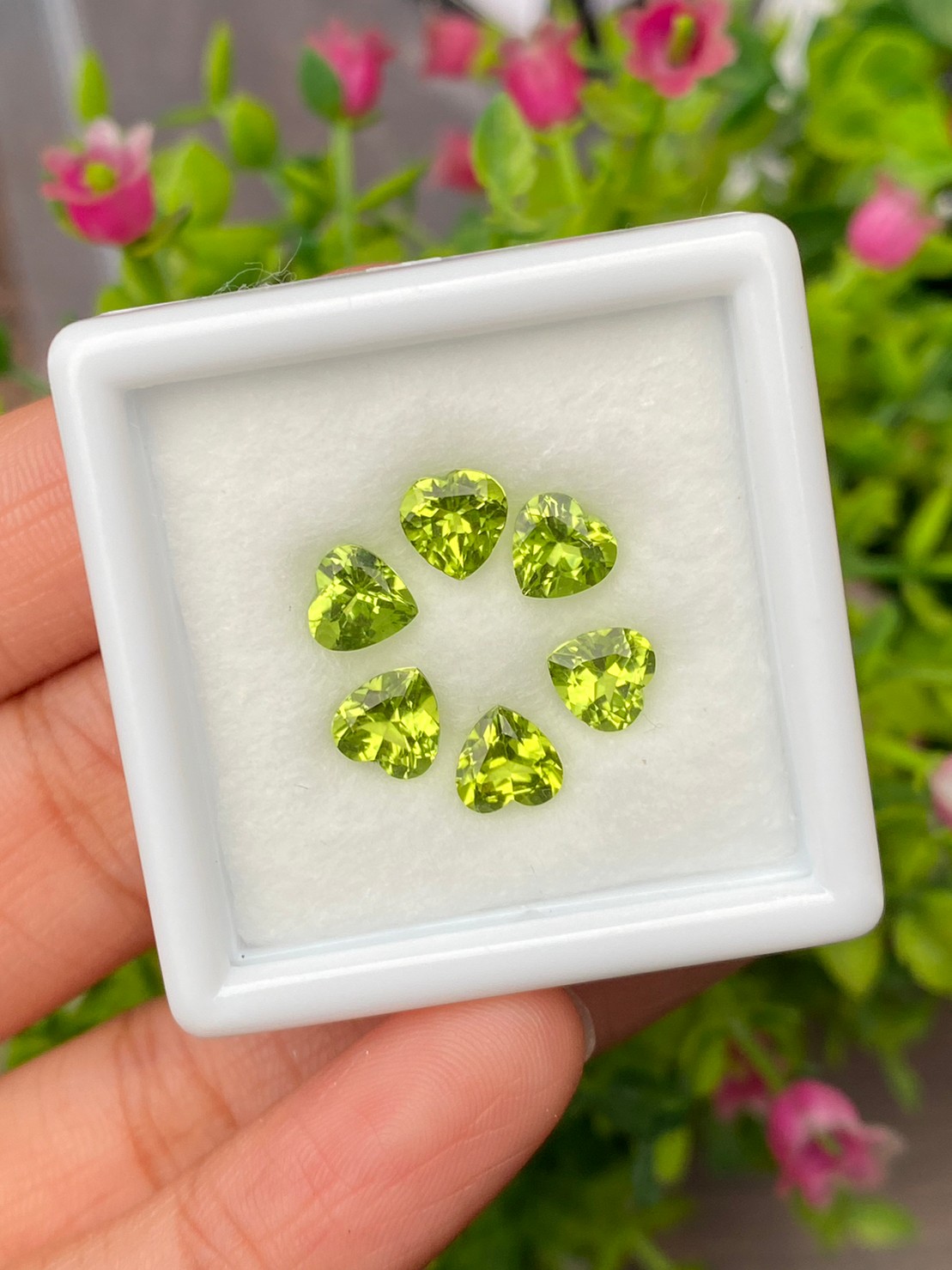 พลอย เพอริดอต Peridot 5.32 กะรัต (Cts.) 6 เม็ด (pcs.) พลอยแท้ อัญมณีมงคลประจําวันเกิด เครื่องประดับพลอย