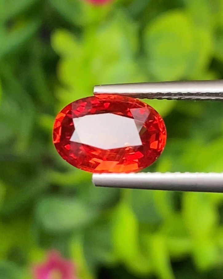 พลอย ทับทิม ซองเจีย Ruby Sapphire 2.66 กะรัต (Cts) พลอยแท้ อัญมณีมงคลประจําวันเกิด เครื่องประดับพลอย