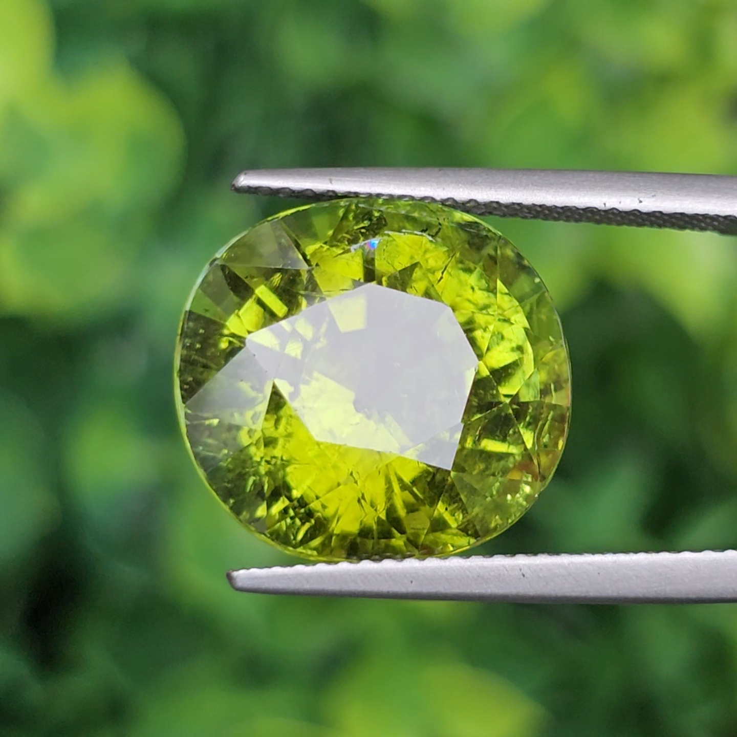 พลอย ทัวร์มาลีน Tourmaline 13.77 กะรัต (Cts.) พลอยแท้อัญมณีมงคล ประจําวันเกิด เครื่องประดับพลอย