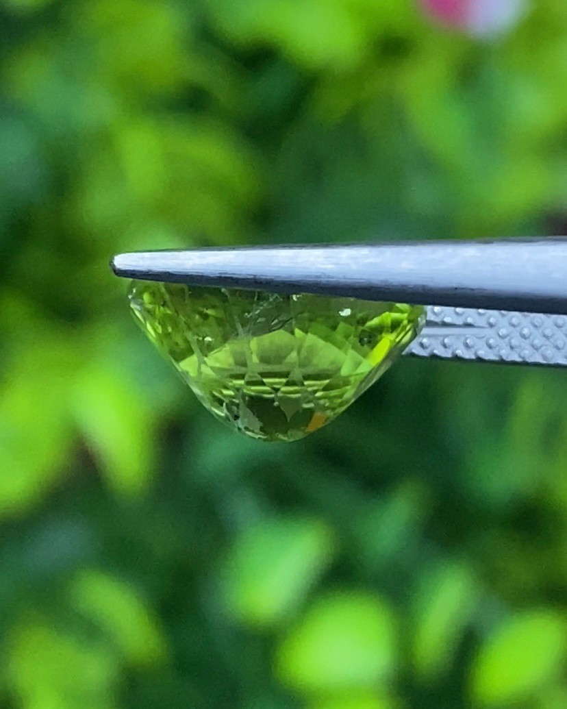 พลอย เพอริดอต Peridot 3.90 กะรัต (Cts.)