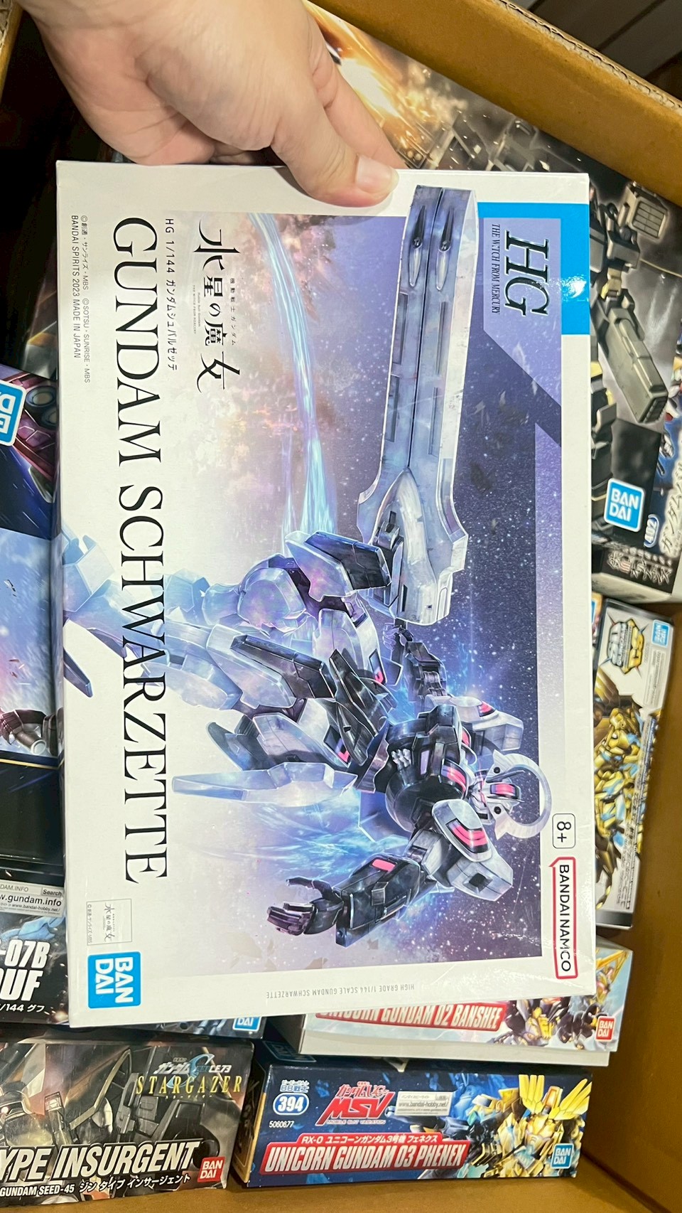 HG GUNDAM SCHWARZETTE