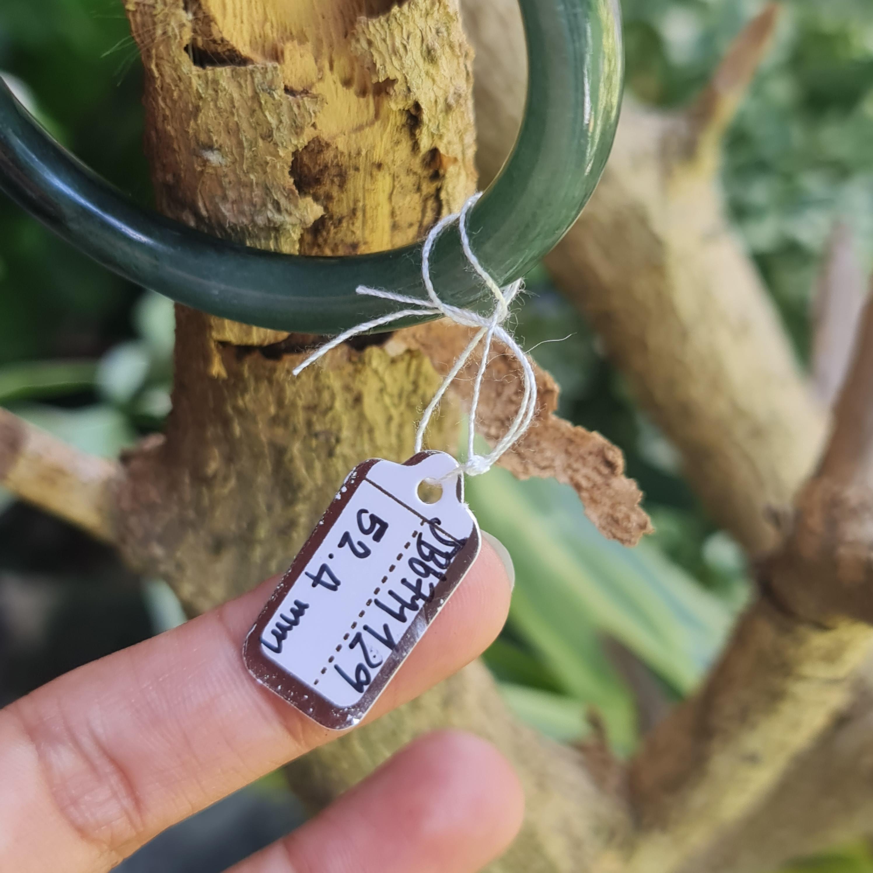 JB6711129 หยก พม่า แท้ Jade กำไลหยก 52.4 มม. (Jadeite bracelet) พม่า (Myanmar)