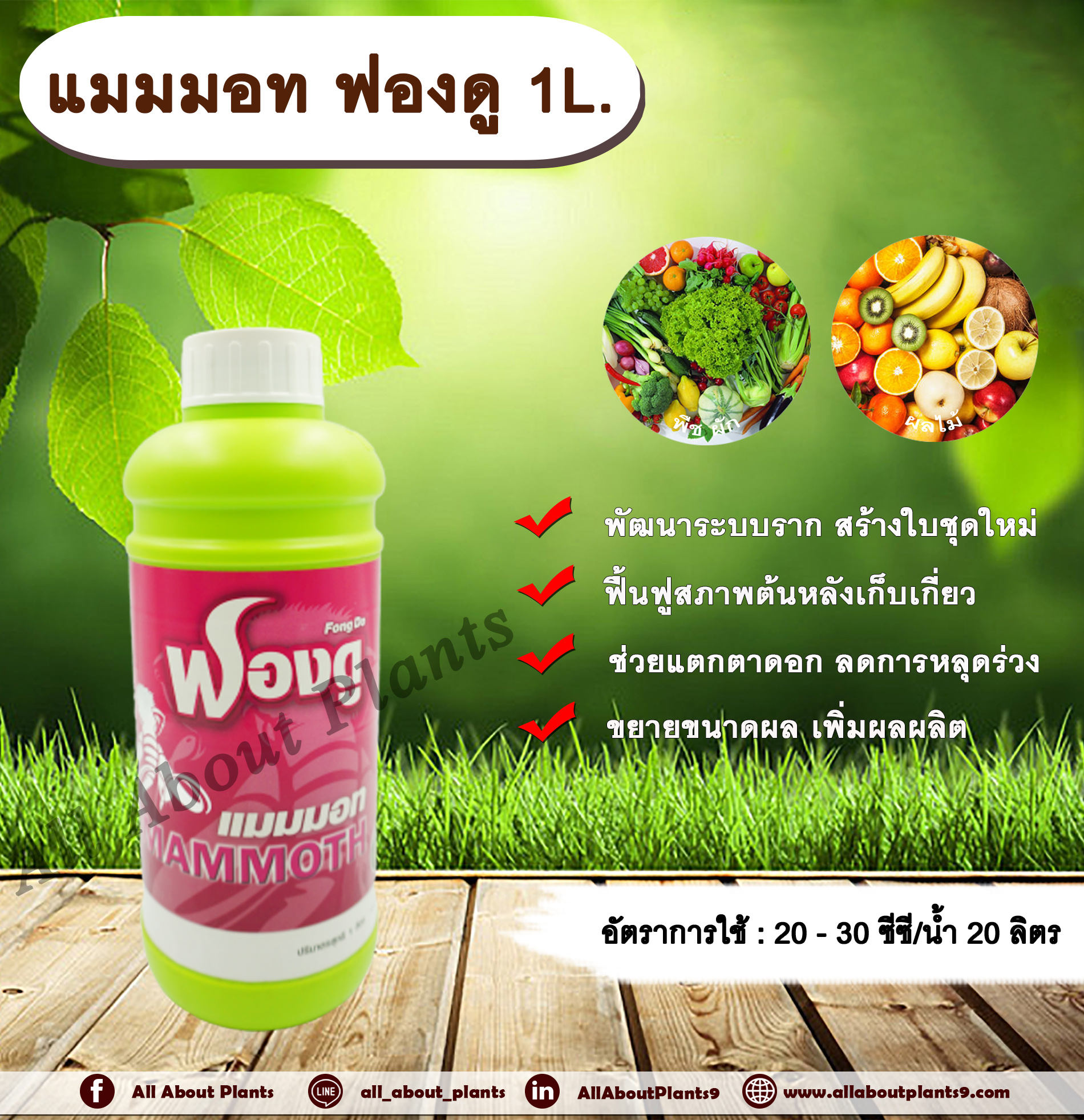 แมมมอท ฟองดู 1L. ฮอร์โมนพืช อาหารเสริมพืช อะมิโนสาหร่ายเขียวมรกต เร่งราก สร้างใบใหม่ แตกตาดอก ลดการหลุดร่วง ขยายผล เพิ่มผลผลิต ฟื้นฟูสภาพต้น allaboutplants ชิ้น