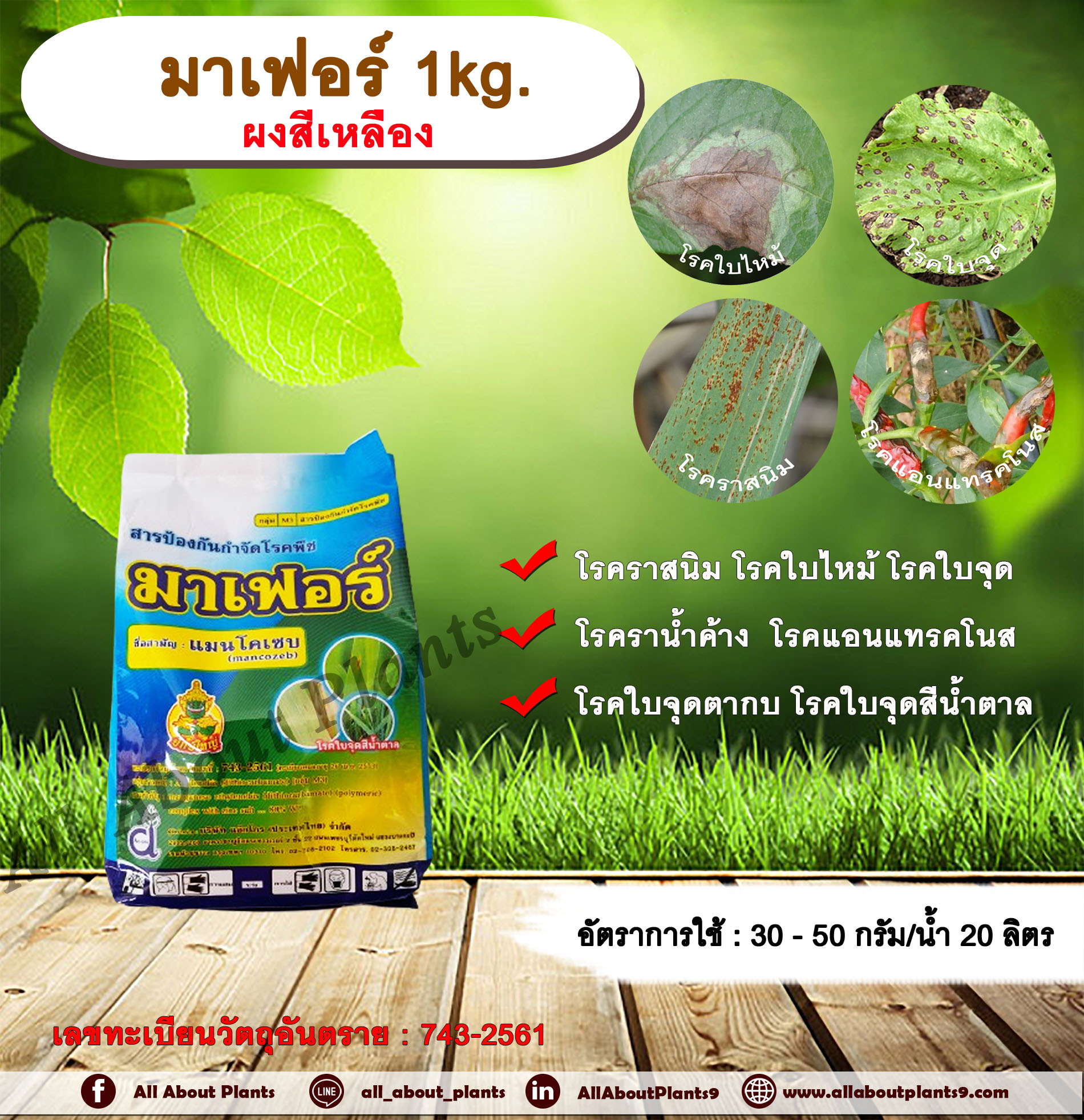 มาเฟอร์ 1kg. ผงสีเหลือง แมนโคเซบ สารป้องกันกำจัดโรคพืช สารป้องกันเชื้อรา สารกำจัดโรคพืช โรคราสนิม โรคใบจุด โรคใบไหม้ โรคราน้ำค้าง โรคแอนแทรคโนส allaboutplants ชิ้น