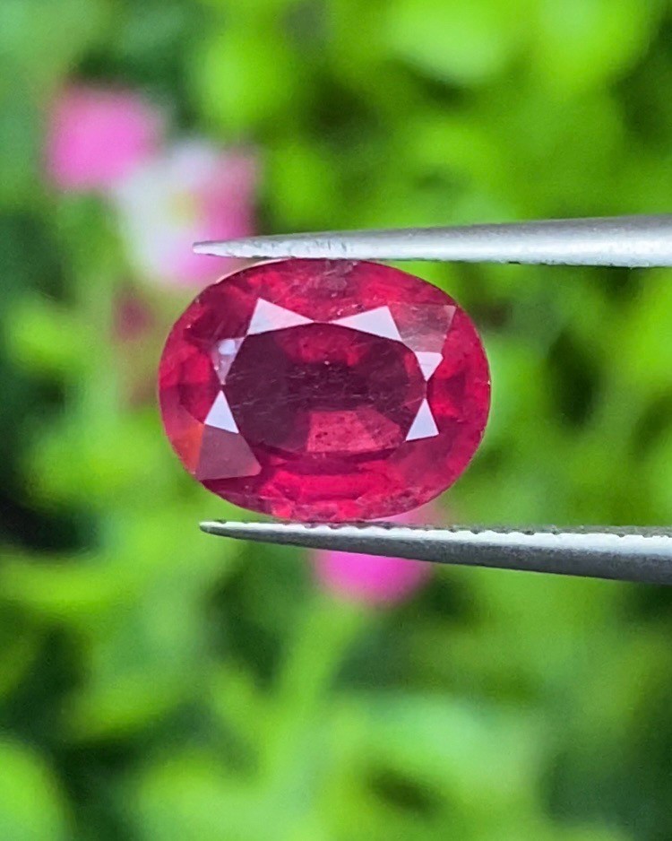พลอย ทับทิม Ruby sapphire 2.49 กะรัต (Cts.) พลอยแท้ อัญมณีมงคลประจําวันเกิด เครื่องประดับพลอย