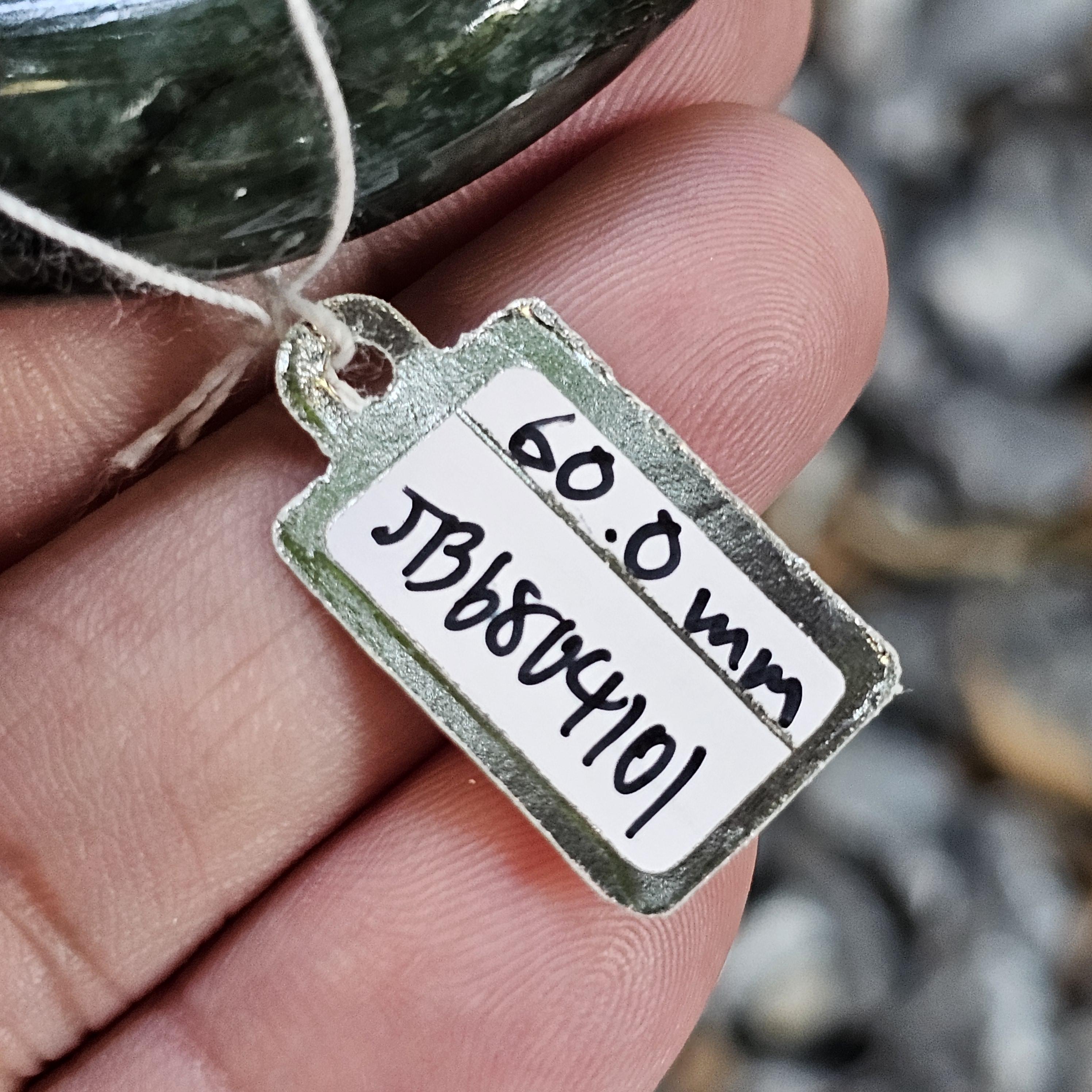 JB6804101 หยก พม่า แท้ Jade กำไลหยก 60.0 มม. (Jadeite bracelet) พม่า (Myanmar)