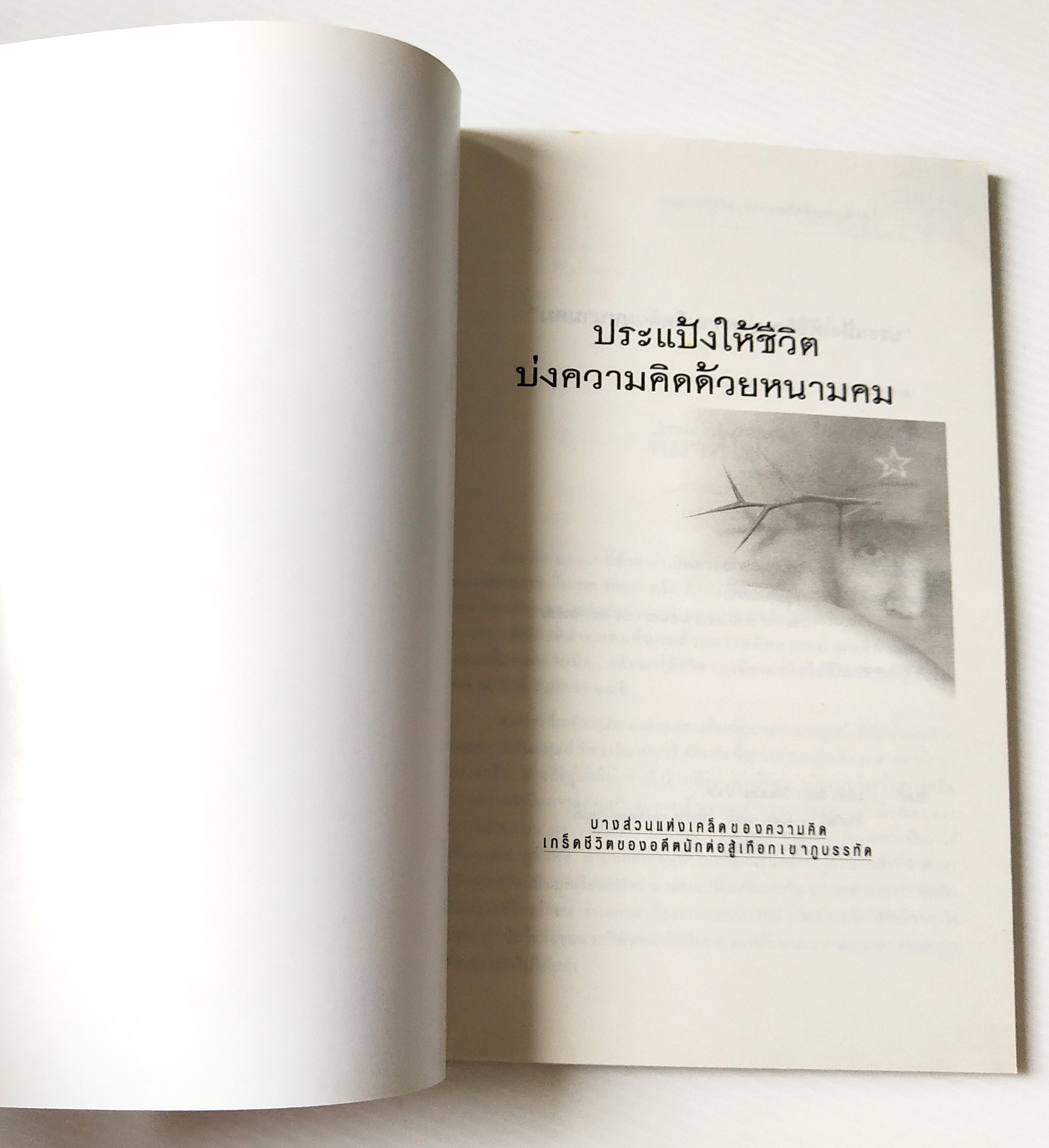 หนังสือแนวพัฒนาตัวเอง "ประแป้งให้ชีวิต บ่งความคิดด้วยหนามคม" บางส่วนแห่งเคล็ดของความคิด เกร็ดชีวิตของอดีตนักต่อสู้เทือกเขาภูบรรทัด โครงการเฉพาะกิจ กลุ่มภูบรรทัด 2550