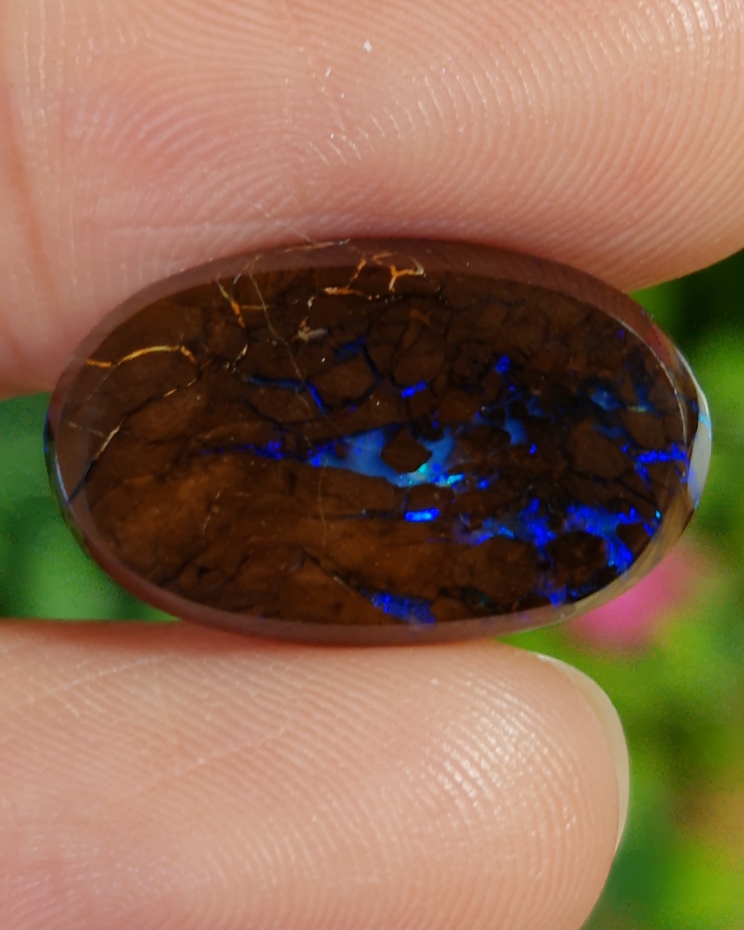 พลอย โบลเดอร์ โอปอล ออสเตรเลีย Australian Boulder Opal 9.85 กะรัต (Cts.) พลอยแท้ อัญมณีมงคลประจําวันเกิด เครื่องประดับพลอย