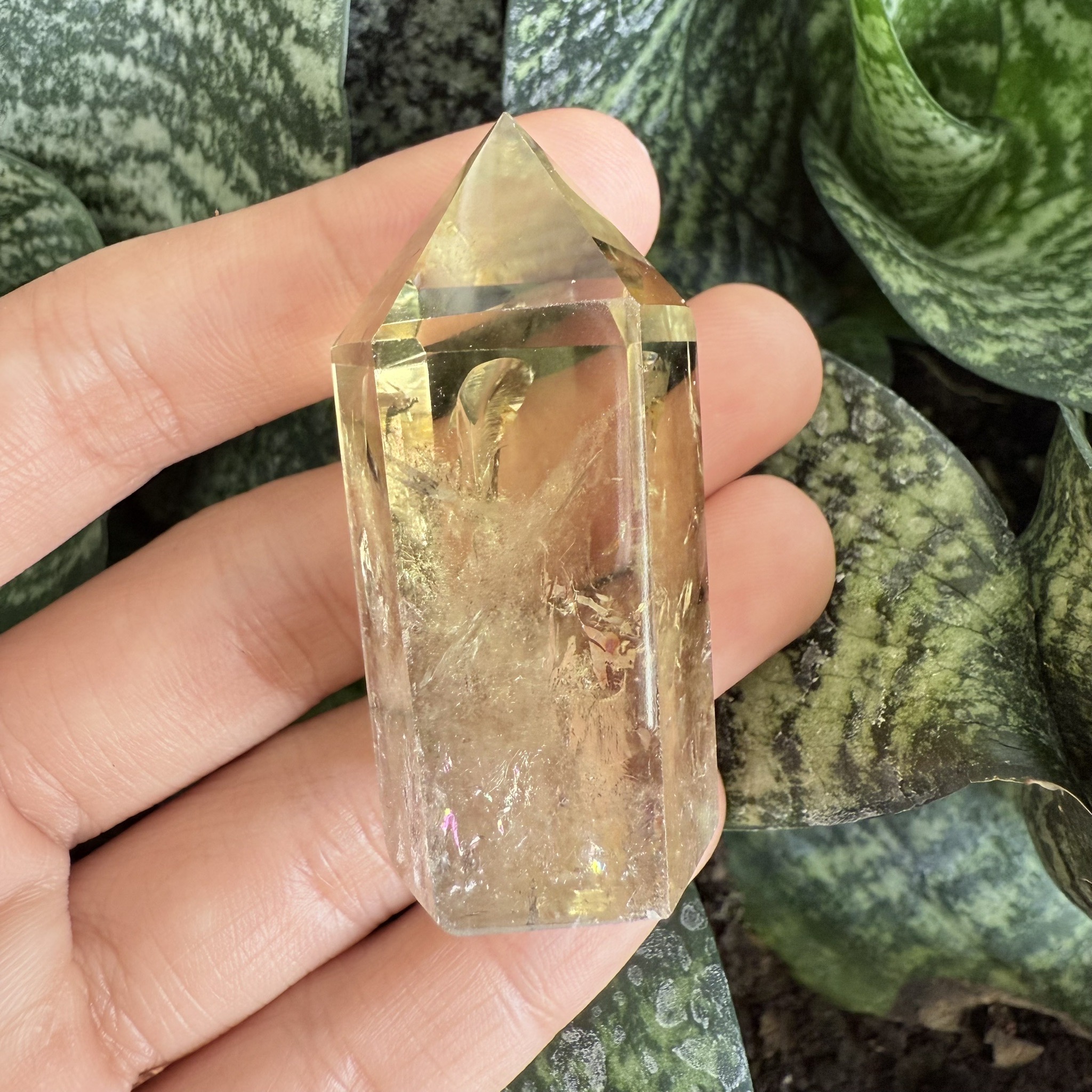 ก้อน ผลึก ซิทริน Citrine 200.00 กะรัต (Cts.) พลอยแท้ อัญมณีมงคลประจําวันเกิด เครื่องประดับพลอย