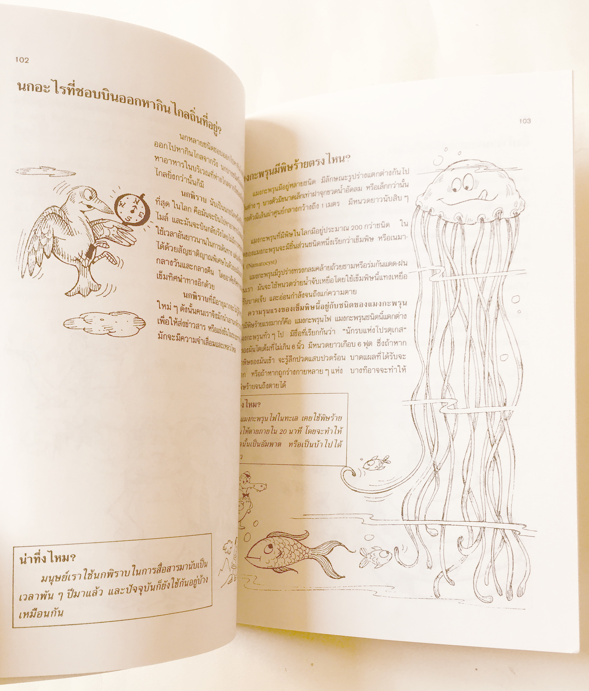 หนังสือภาพ การ์ตูนวิทยาศาสตร์น่าทึ่ง ชุด สัตว์โลกมหัศจรรย์ เสริมสร้างประสบการณ์ชีวิต หัดวาดภาพการ์ตูนจากภาพประกอบเรื่อง โดย สัมพันธ์ ก้องสมุทร