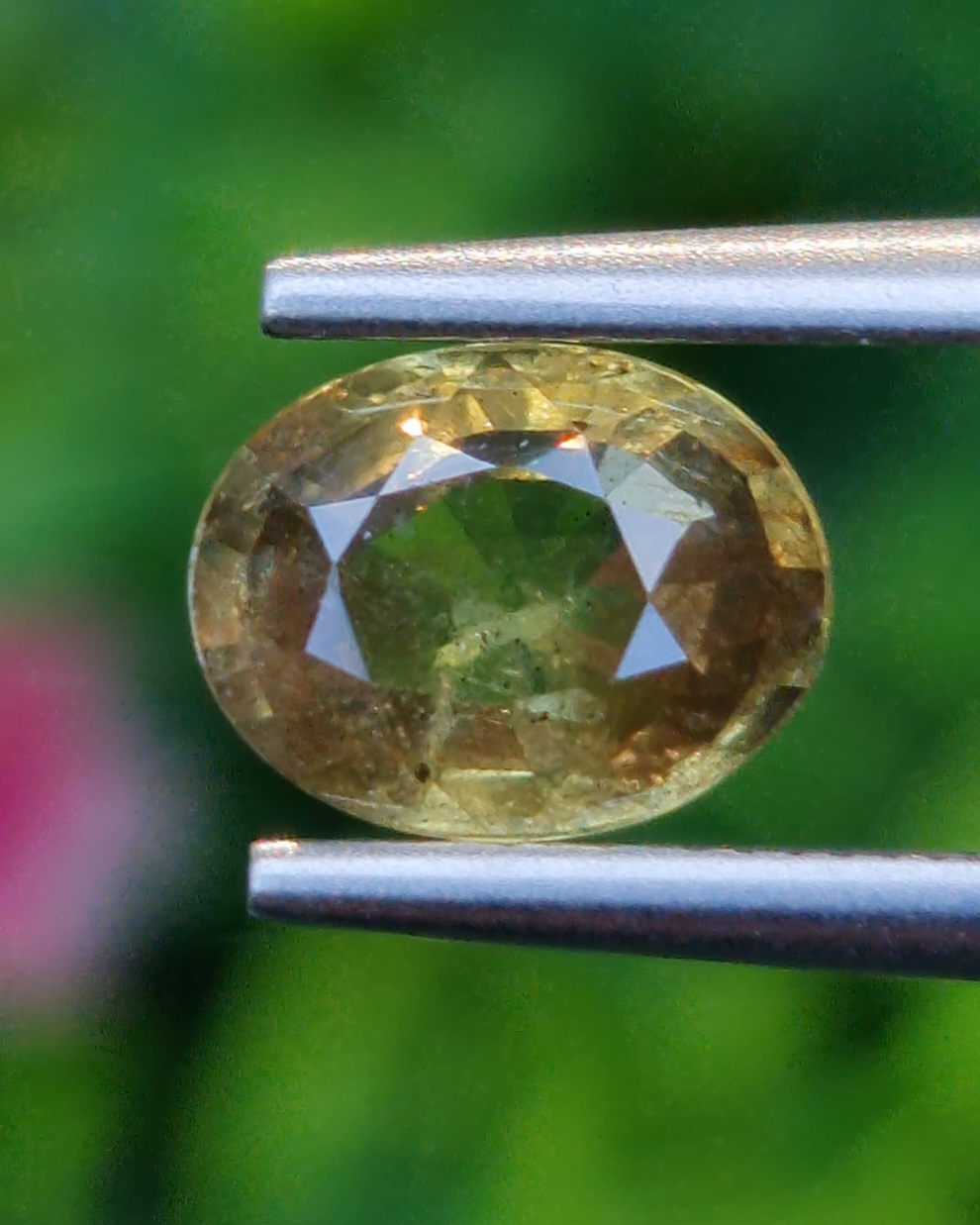 พลอย บุษราคัม Yellow Sapphire 1.38 กะรัต (Cts.) ดิบ Unheated พลอยแท้ อัญมณีมงคลประจําวันเกิด เครื่องประดับพลอย