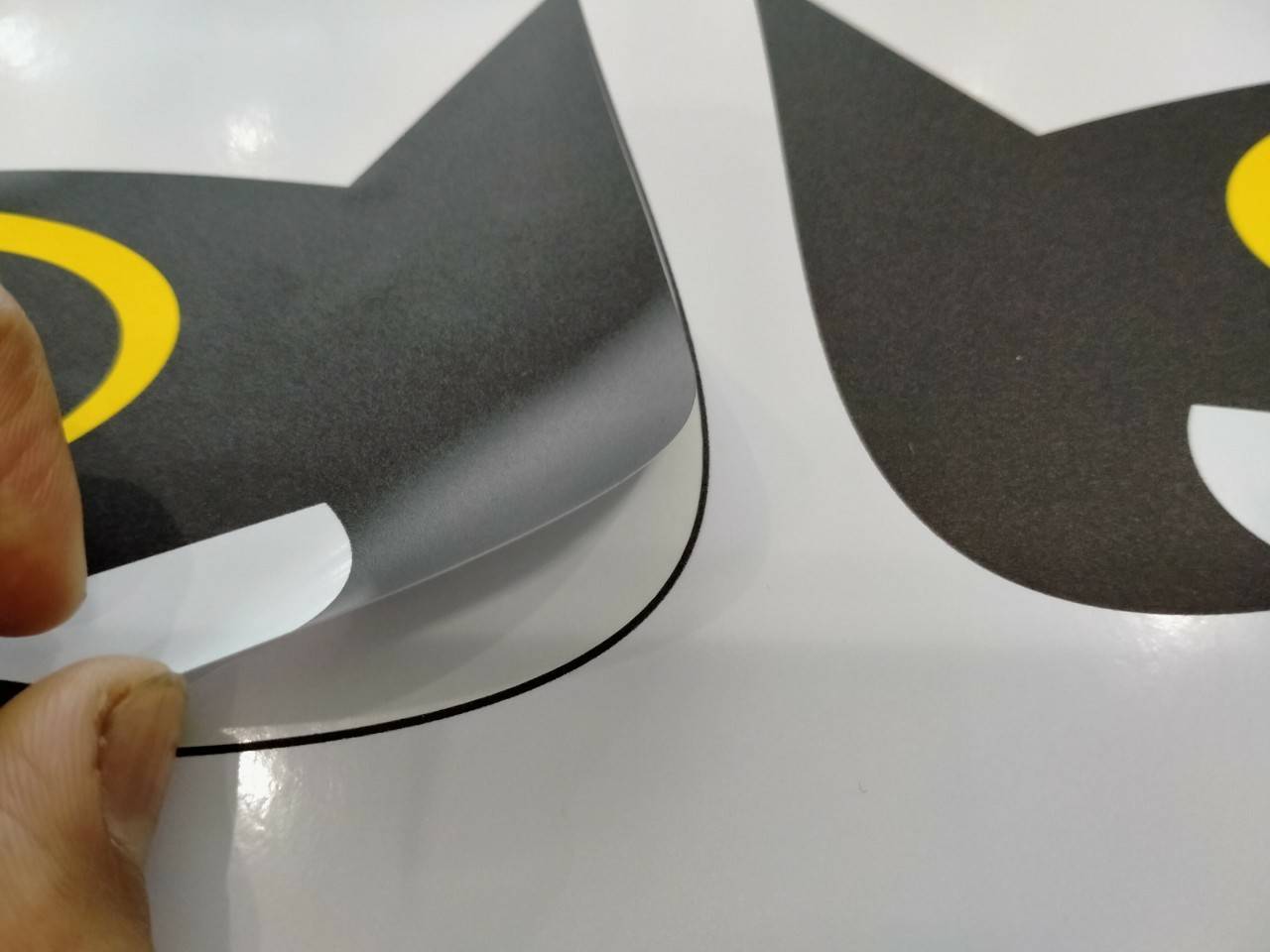 สติ๊กเกอร์ไดคัท