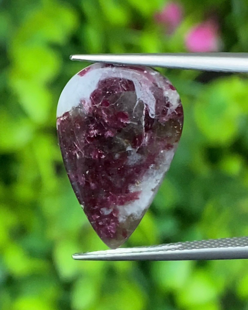 พลอย ทัวร์มารีน (Tourmaline) 11.60 กะรัต (Cts.) อัญมณีมงคลประจําวันเกิด เครื่องประดับพลอย