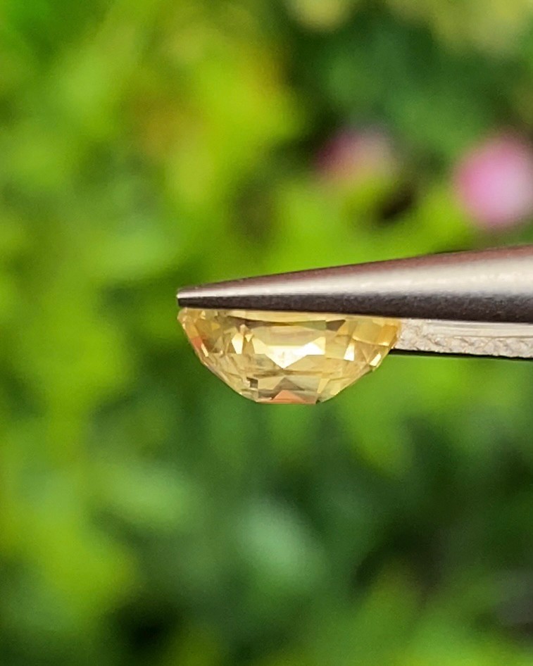 พลอย บุษราคัม yellow sapphire 1.11 กะรัต พลอยแท้ อัญมณีมงคลประจําวันเกิด เครื่องประดับพลอย
