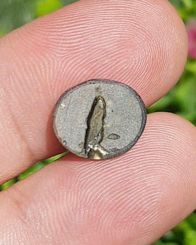 พลอย แบล็ค สตาร์ แซฟไฟร์ Black Star Sapphire 6.18 กะรัต (Cts.) ดิบ Unheated พลอยแท้ อัญมณีมงคลประจําวันเกิด เครื่องประดับพลอย