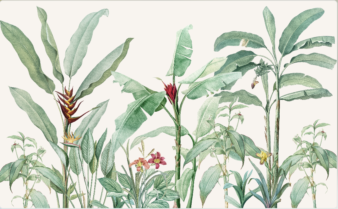 Wallpaper Digital Printing TR24010
