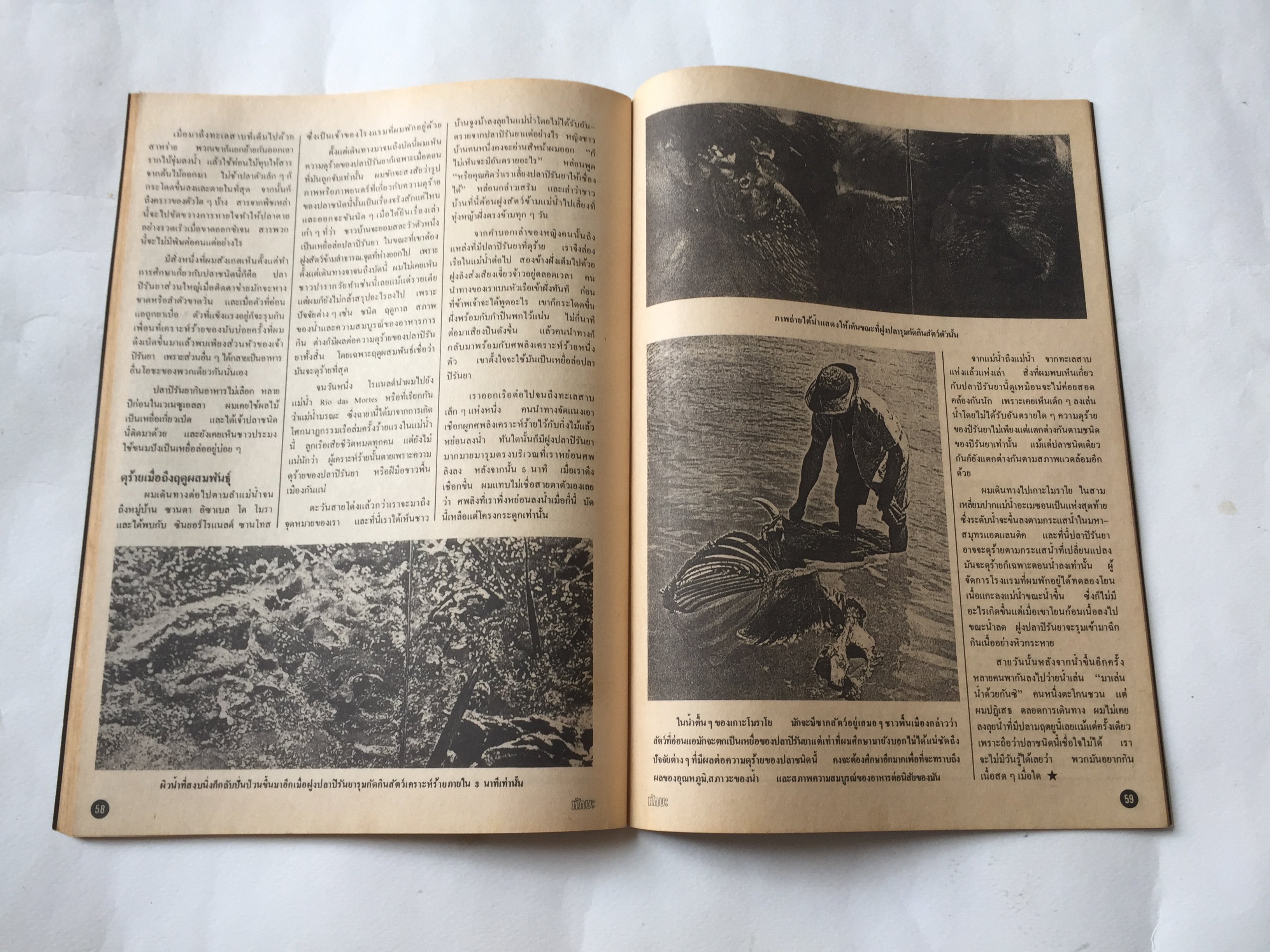 นิตยสาร ทักษะ วิทยาศาสตร์เทคโนโลยี ฉบับที่ 31 สิงหาคม 2524 ราคาปก 10 บาท